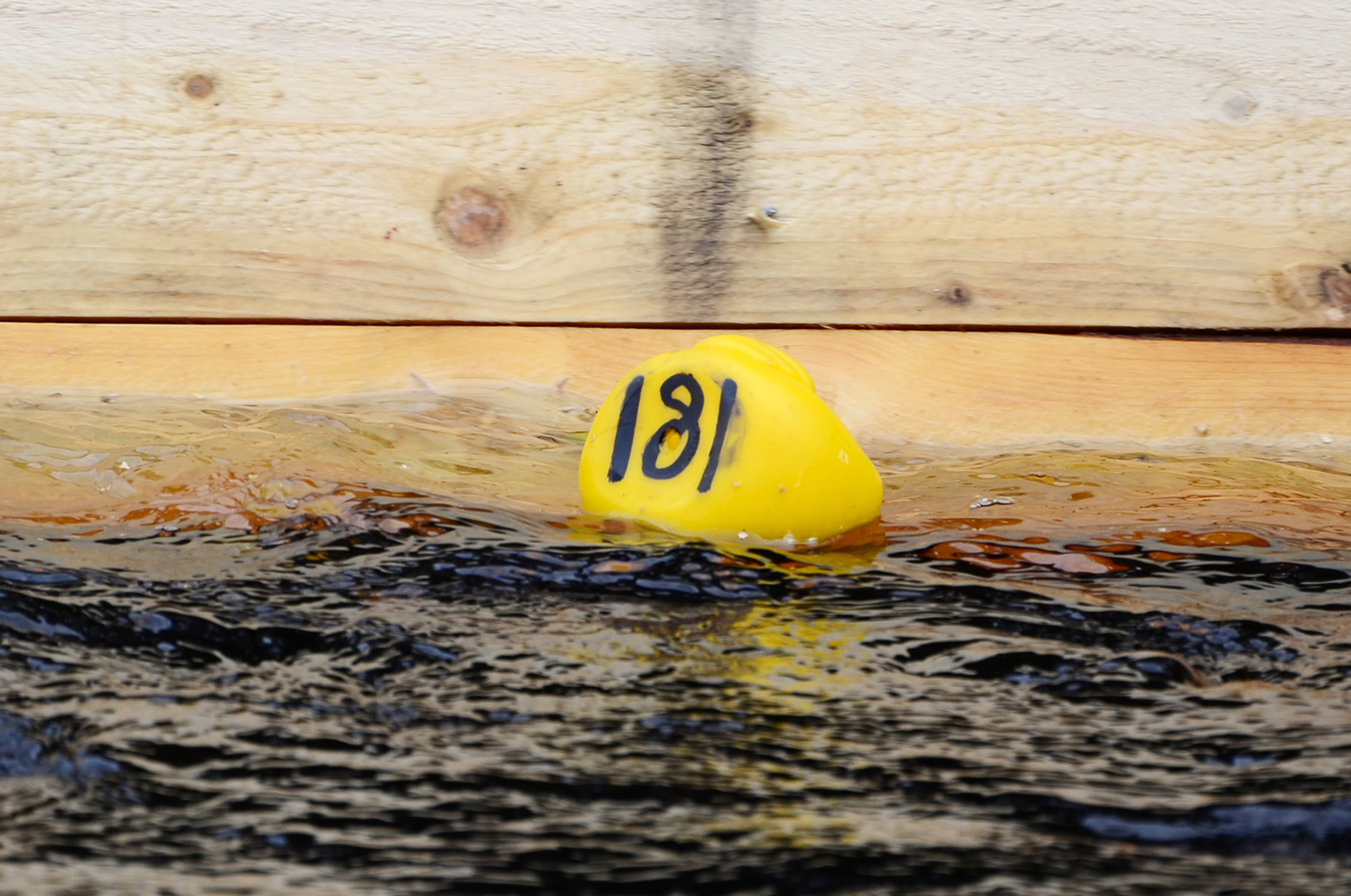 Röste.nu – Röstebilder – Ankrace i Galvån 2014