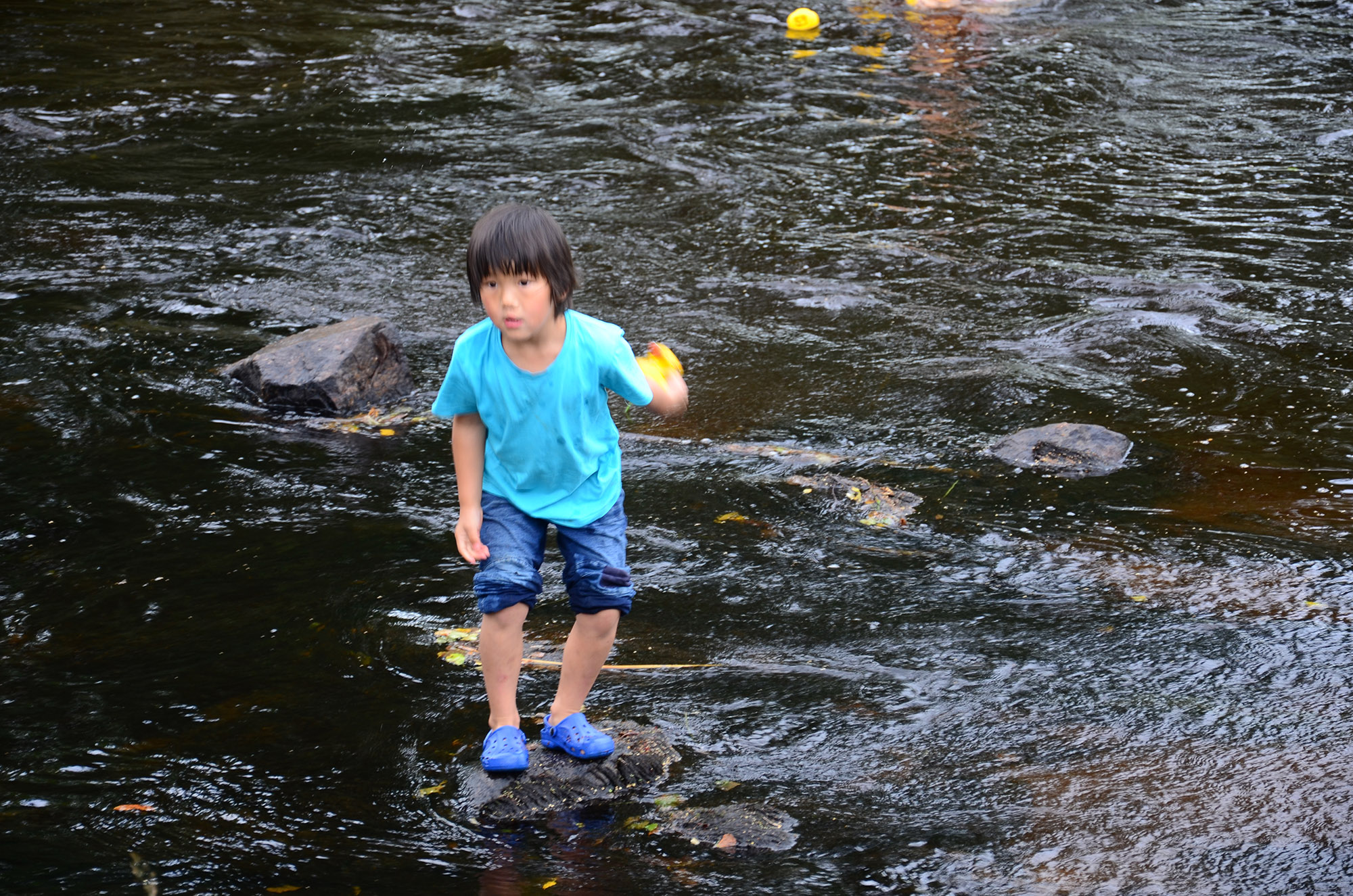 Röste.nu – Röstebilder – Ankrace i Galvån 2014