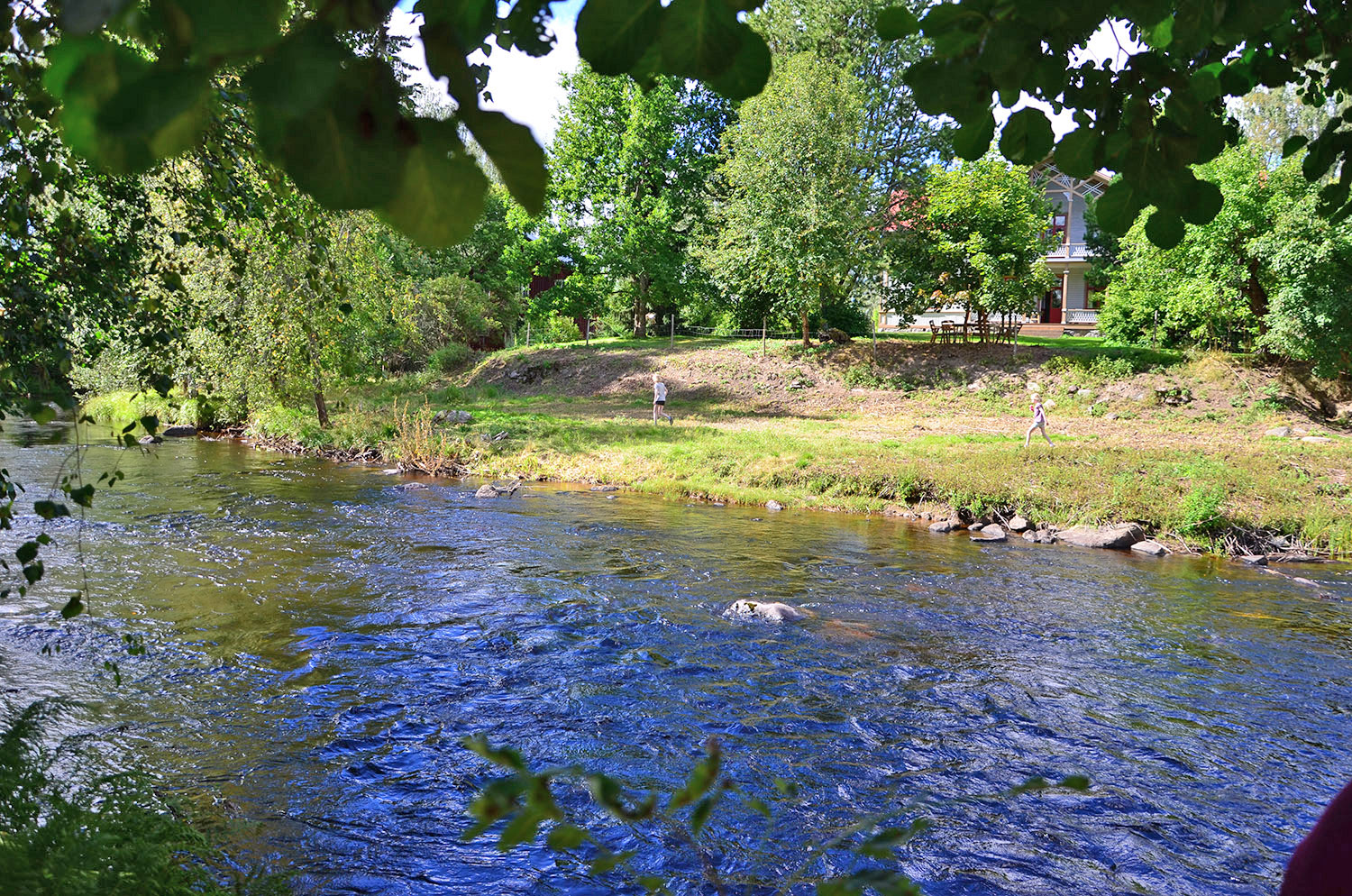Röste.nu – Röstebilder – Ankracet i Galvån 2016