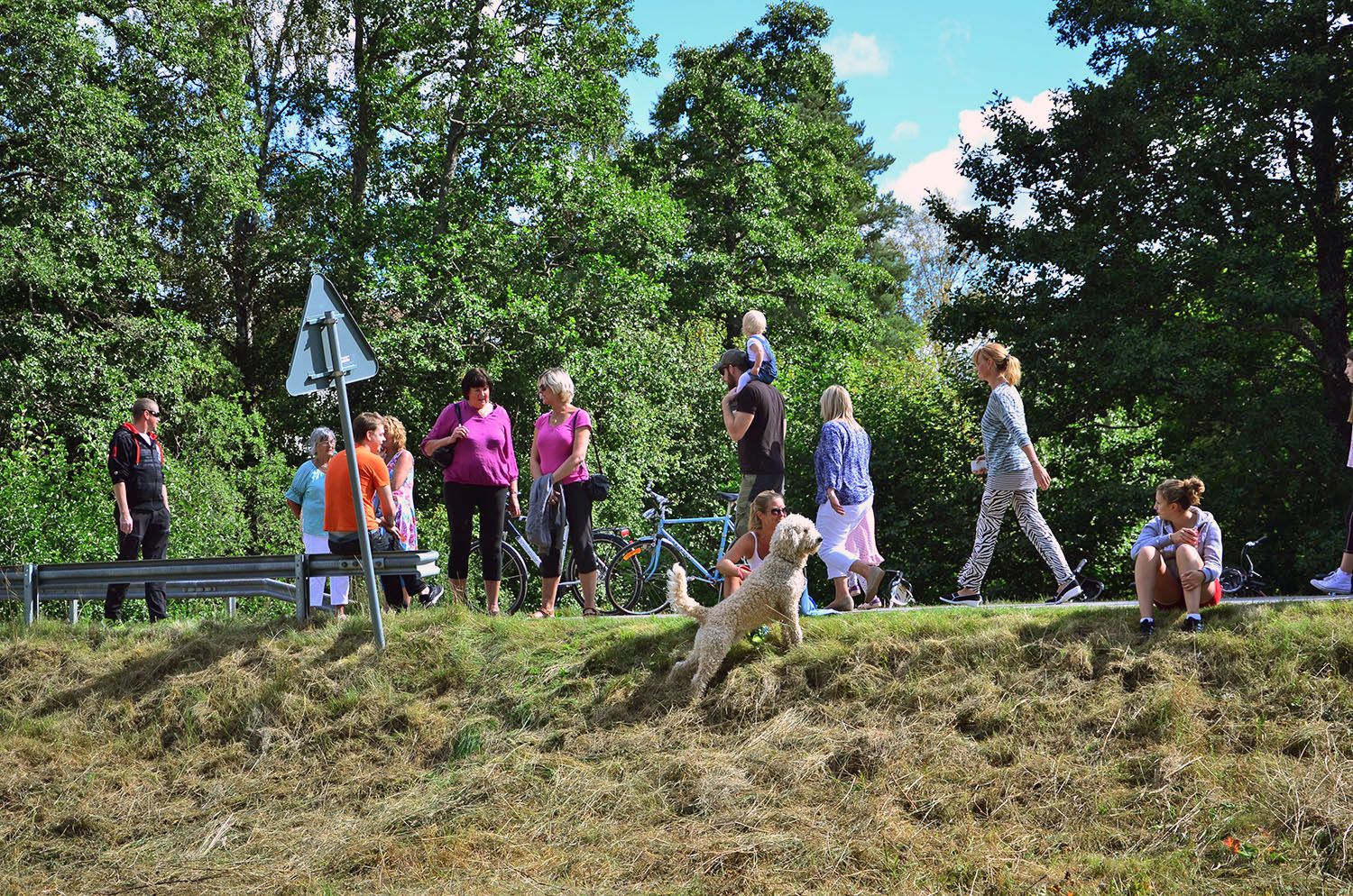 Röste.nu – Röstebilder – Ankracet i Galvån 2016