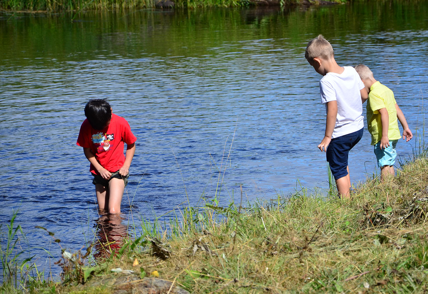 Röste.nu – Röstebilder – Ankracet i Galvån 2016