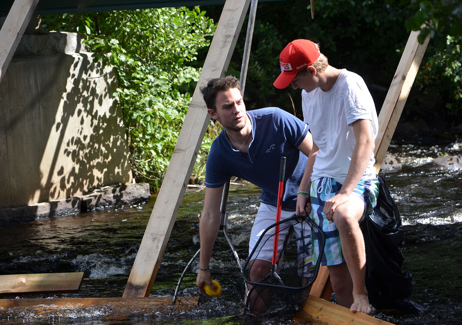 Röste.nu – Röstebilder – Ankracet i Galvån 2016