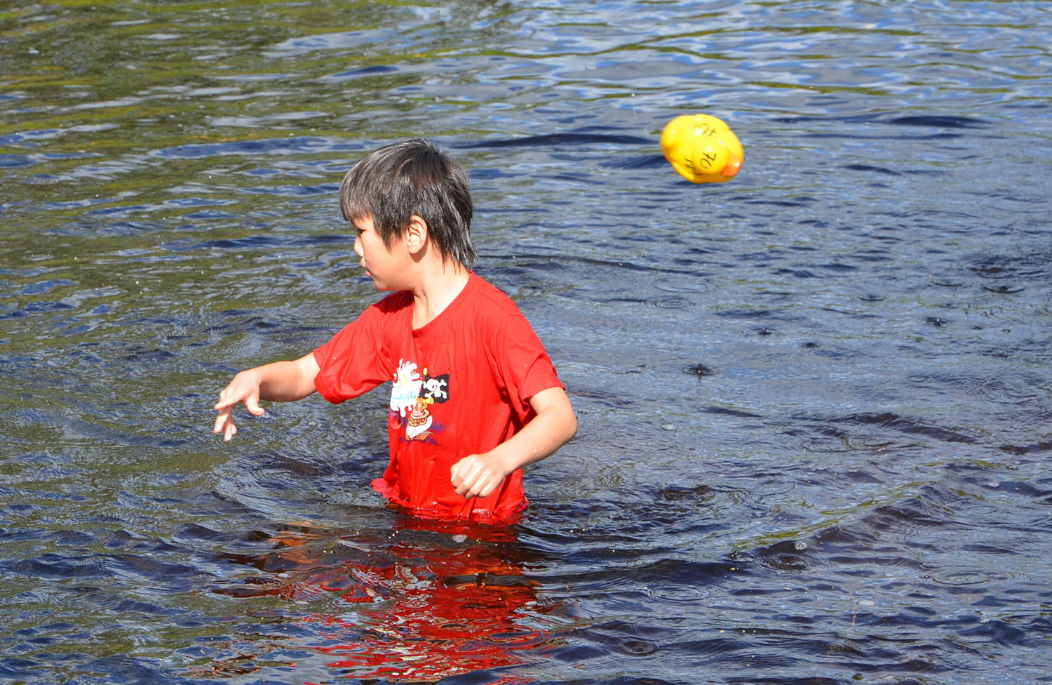 Röste.nu – Röstebilder – Ankracet i Galvån 2016
