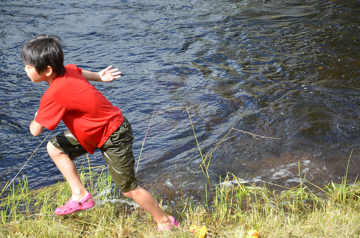 Röste.nu – Röstebilder – Ankracet i Galvån 2016