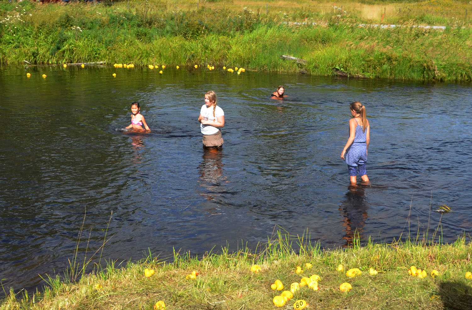 Röste.nu – Röstebilder – Ankracet i Galvån 2016
