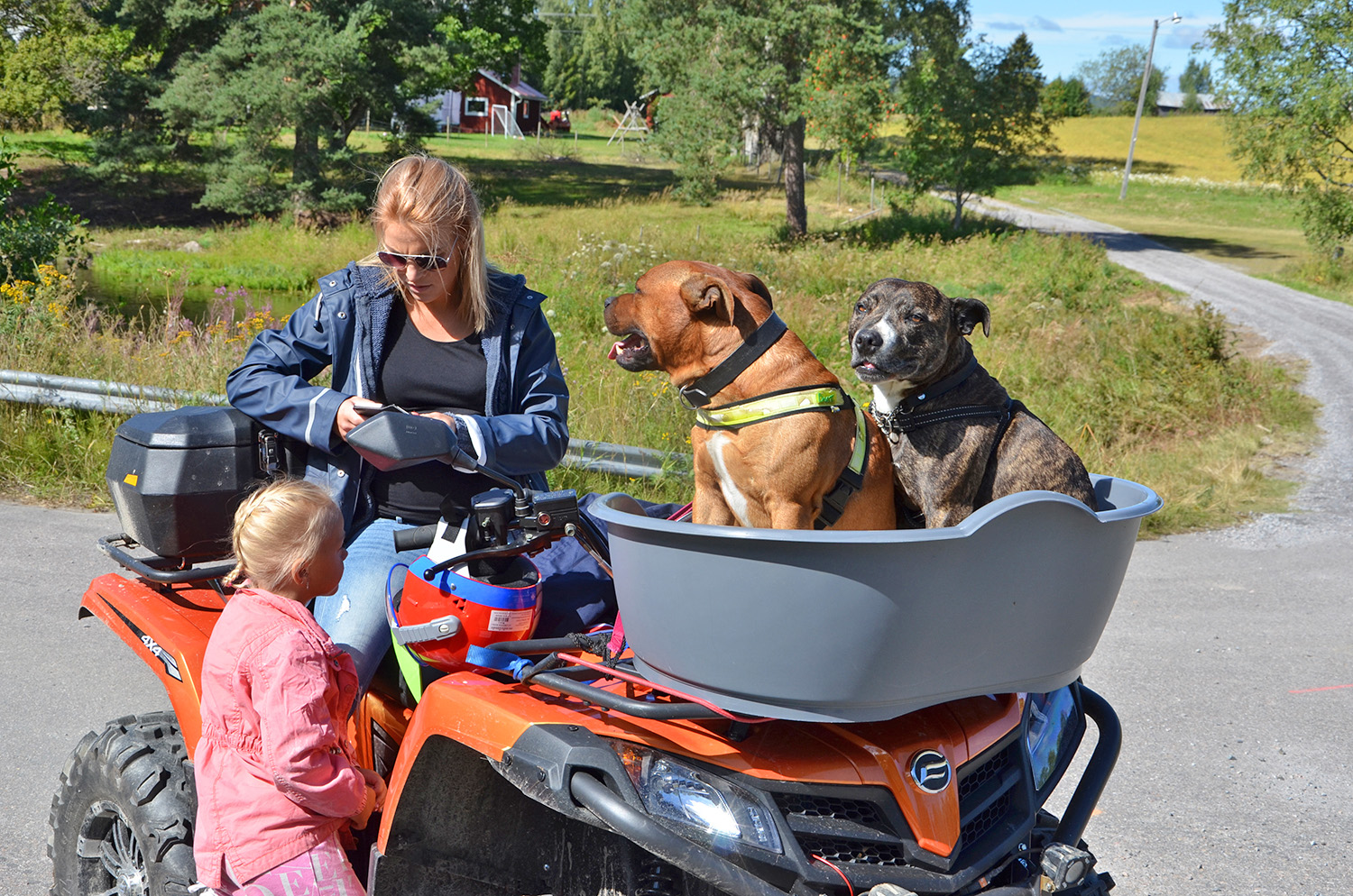 Röste.nu – Röstebilder – Ankracet i Galvån 2016