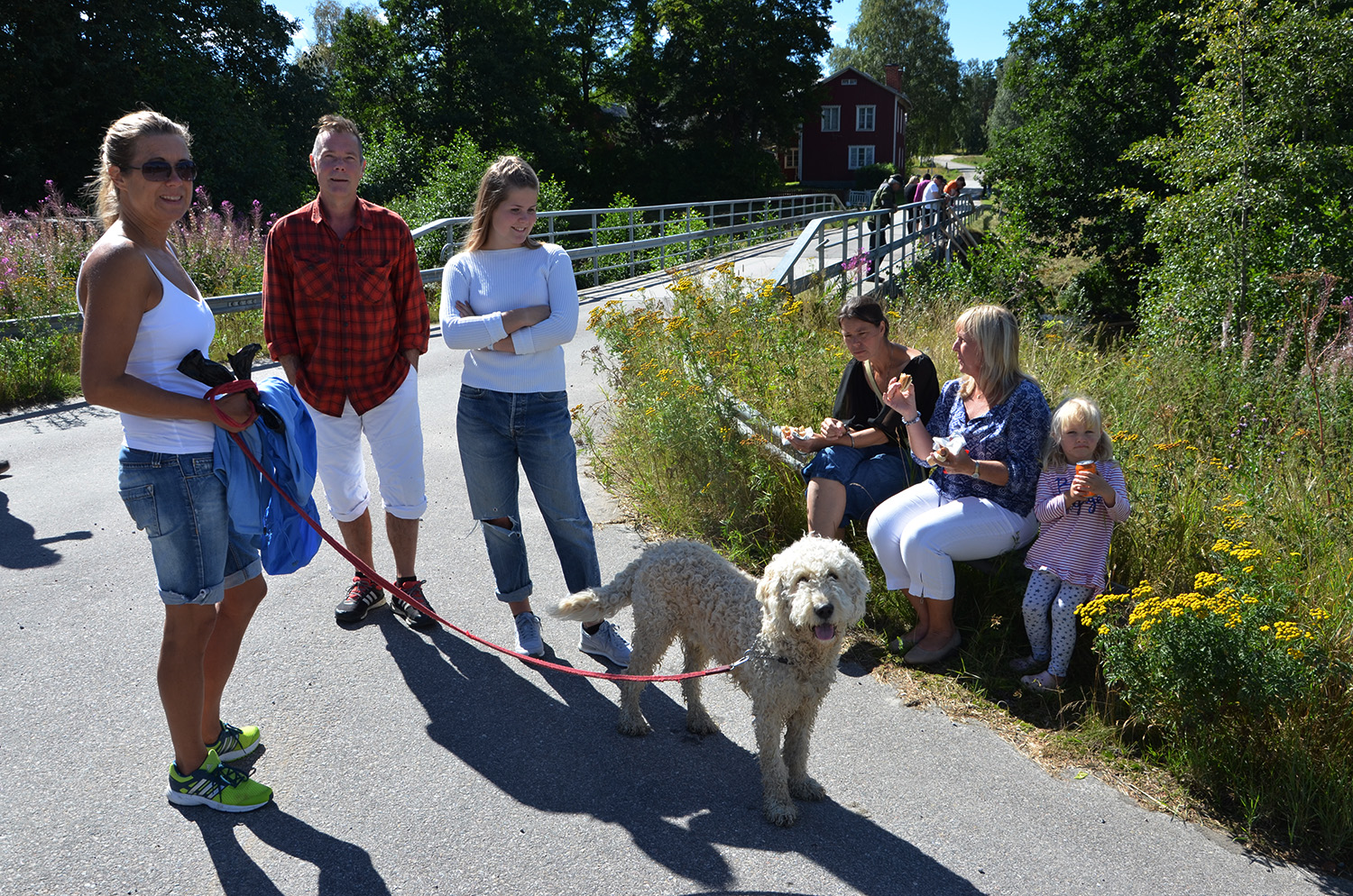 Röste.nu – Röstebilder – Ankracet i Galvån 2016