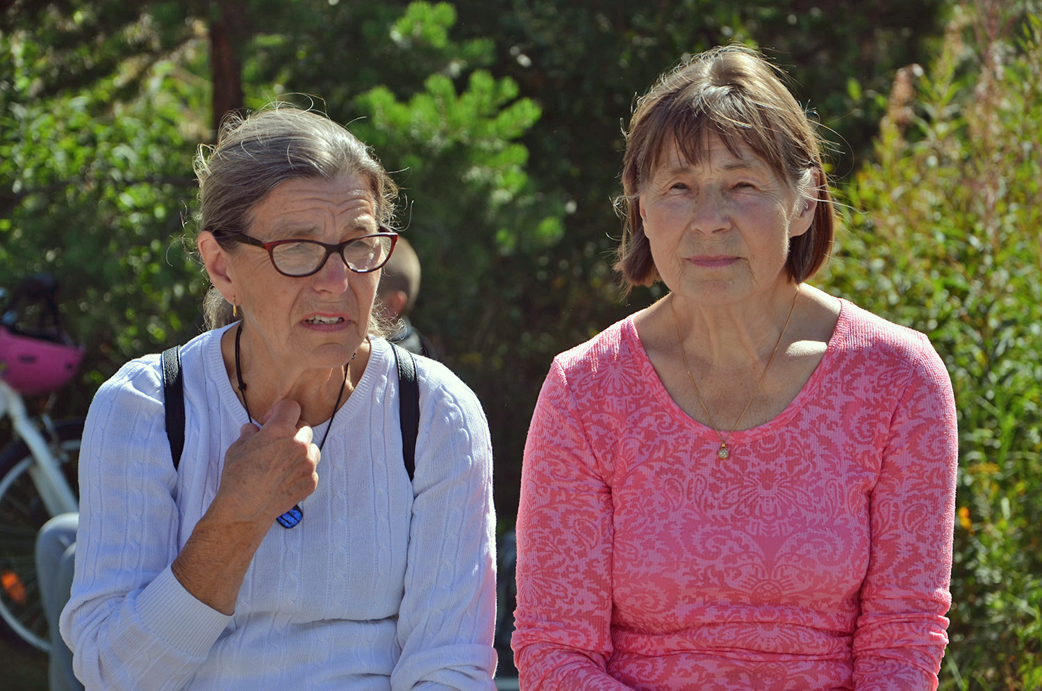 Röste.nu – Röstebilder – Ankracet i Galvån 2016