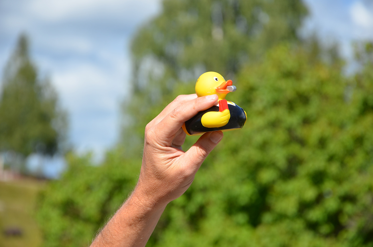 Röste.nu – Röstebilder – Ankracet i Galvån 2016