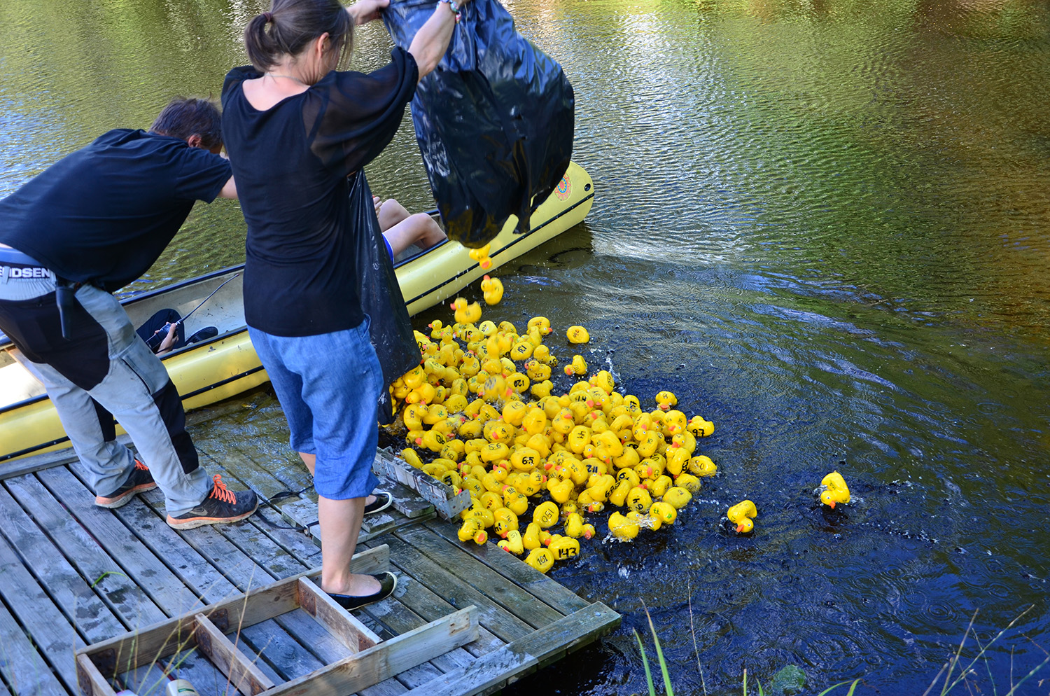 Röste.nu – Röstebilder – Ankracet i Galvån 2016