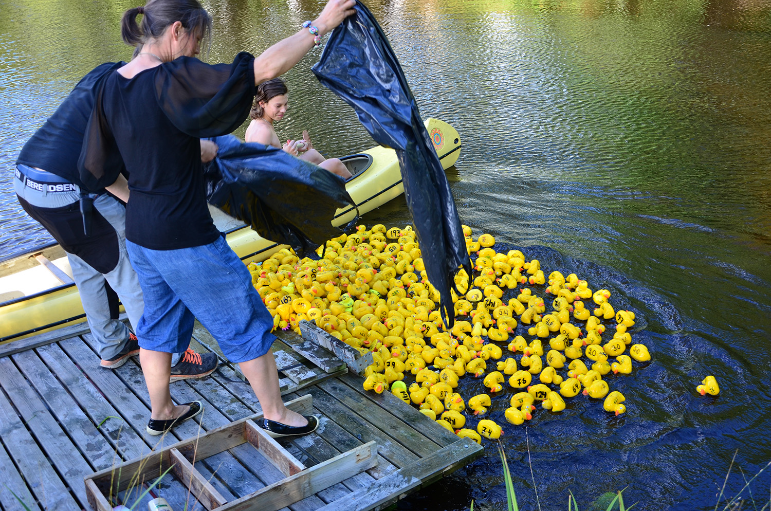 Röste.nu – Röstebilder – Ankracet i Galvån 2016