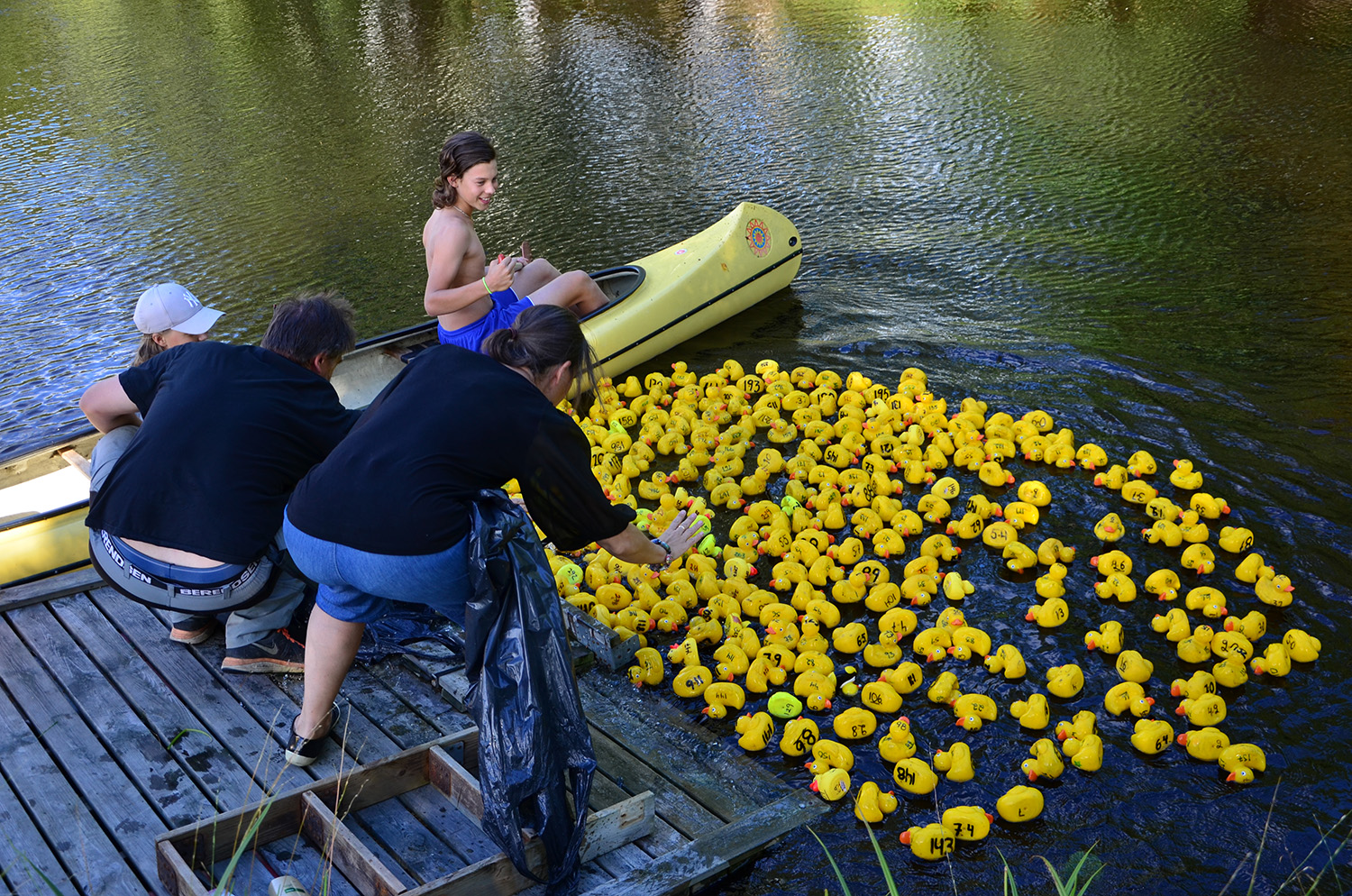 Röste.nu – Röstebilder – Ankracet i Galvån 2016