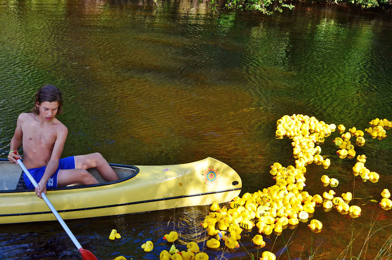 Röste.nu – Röstebilder – Ankracet i Galvån 2016
