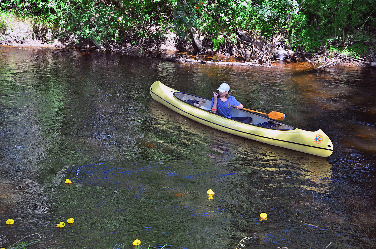 Röste.nu – Röstebilder – Ankracet i Galvån 2016