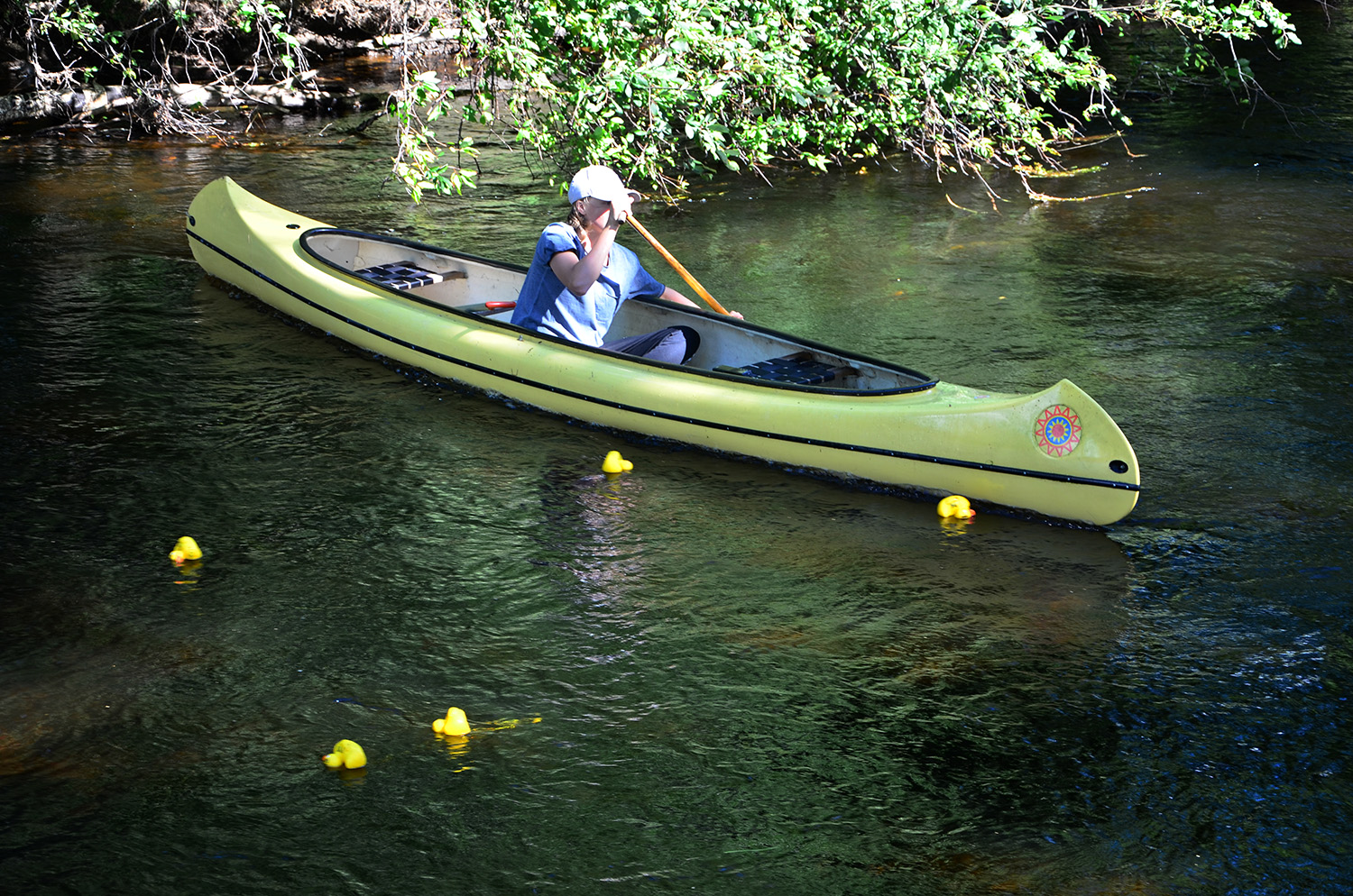 Röste.nu – Röstebilder – Ankracet i Galvån 2016