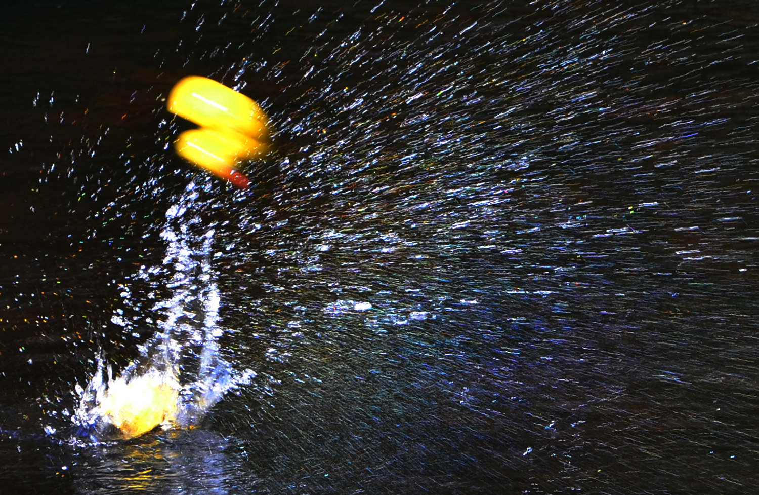 Röste.nu – Röstebilder – Ankracet i Galvån 2016