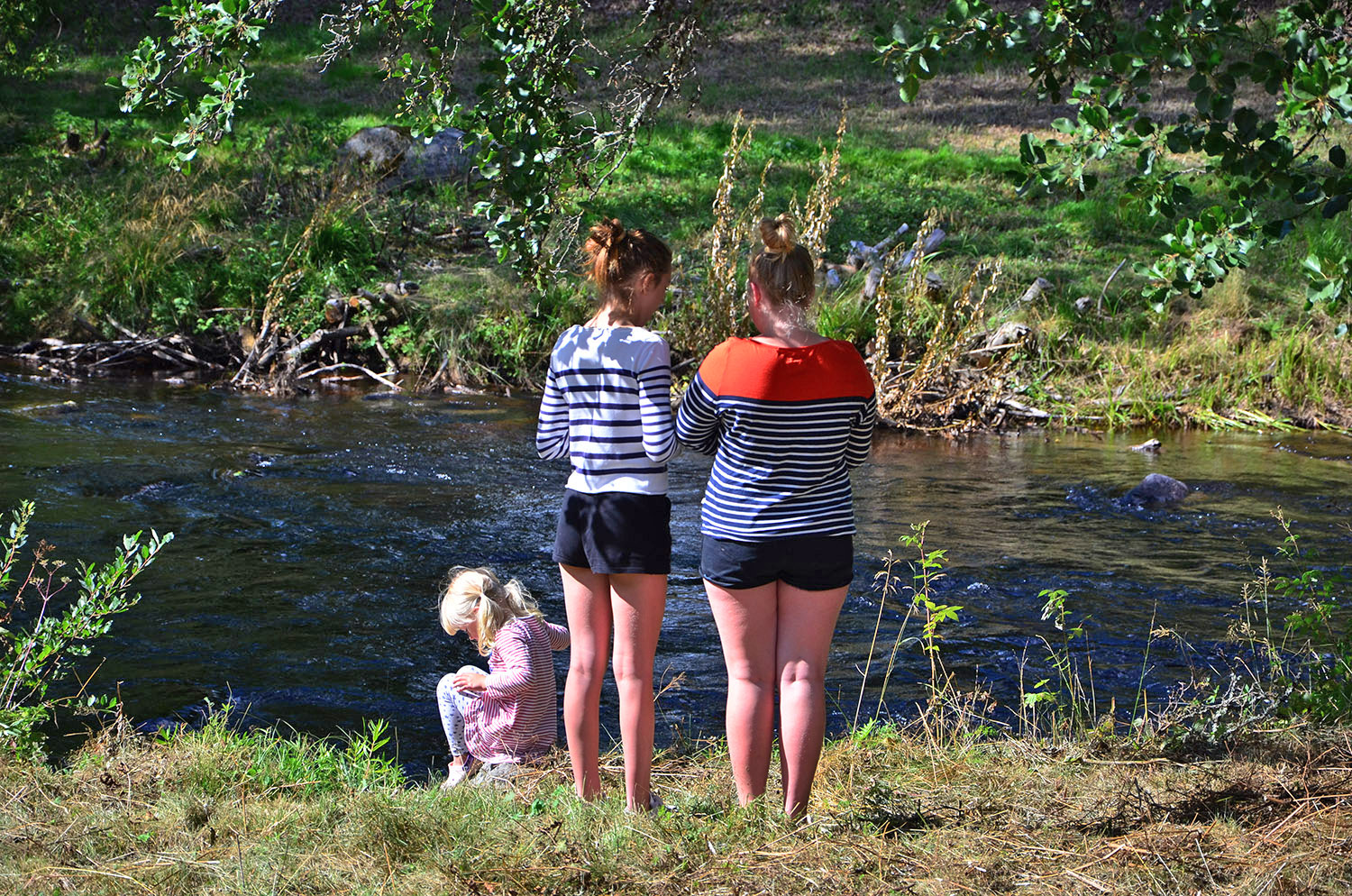 Röste.nu – Röstebilder – Ankracet i Galvån 2016