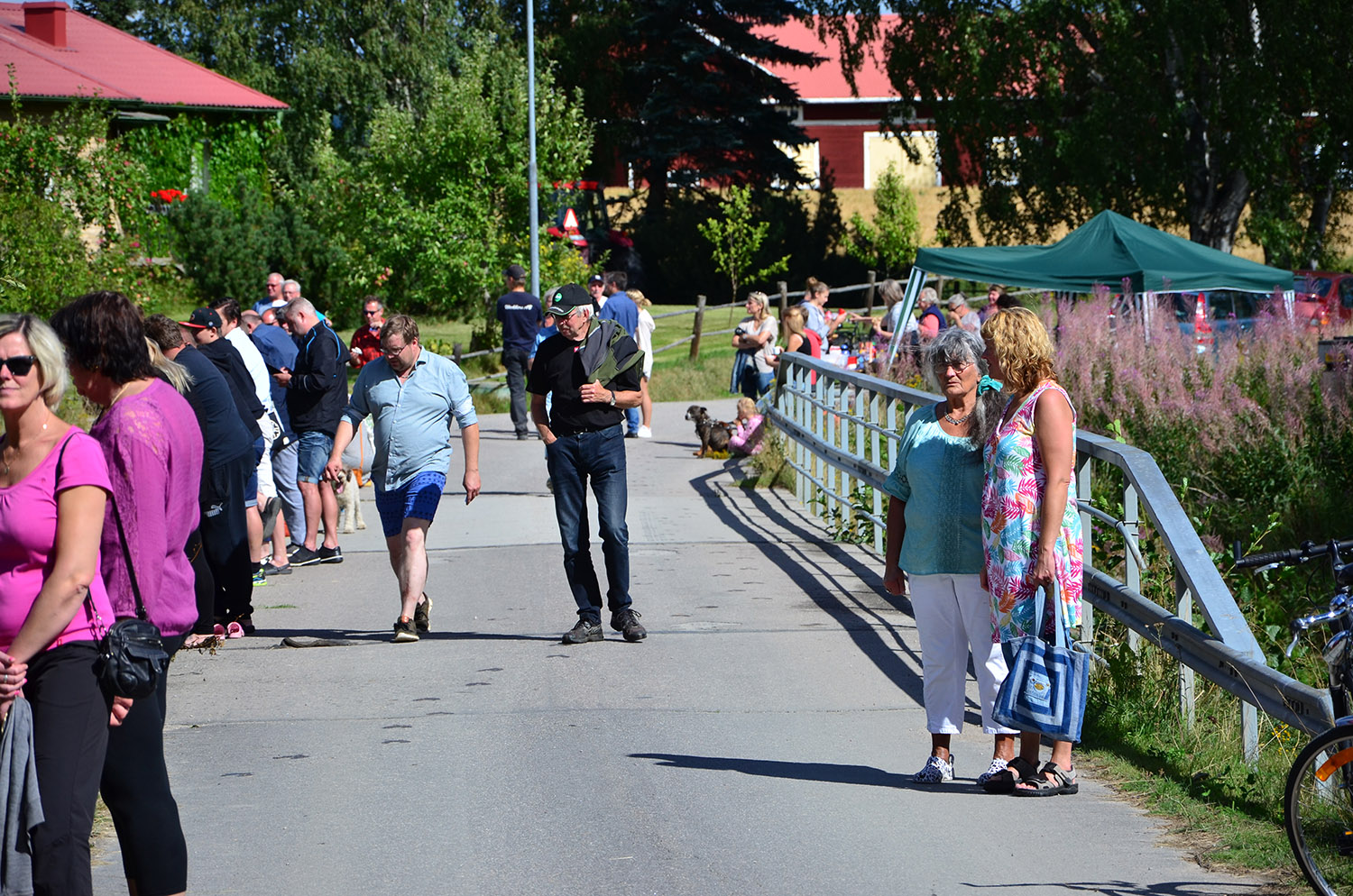 Röste.nu – Röstebilder – Ankracet i Galvån 2016