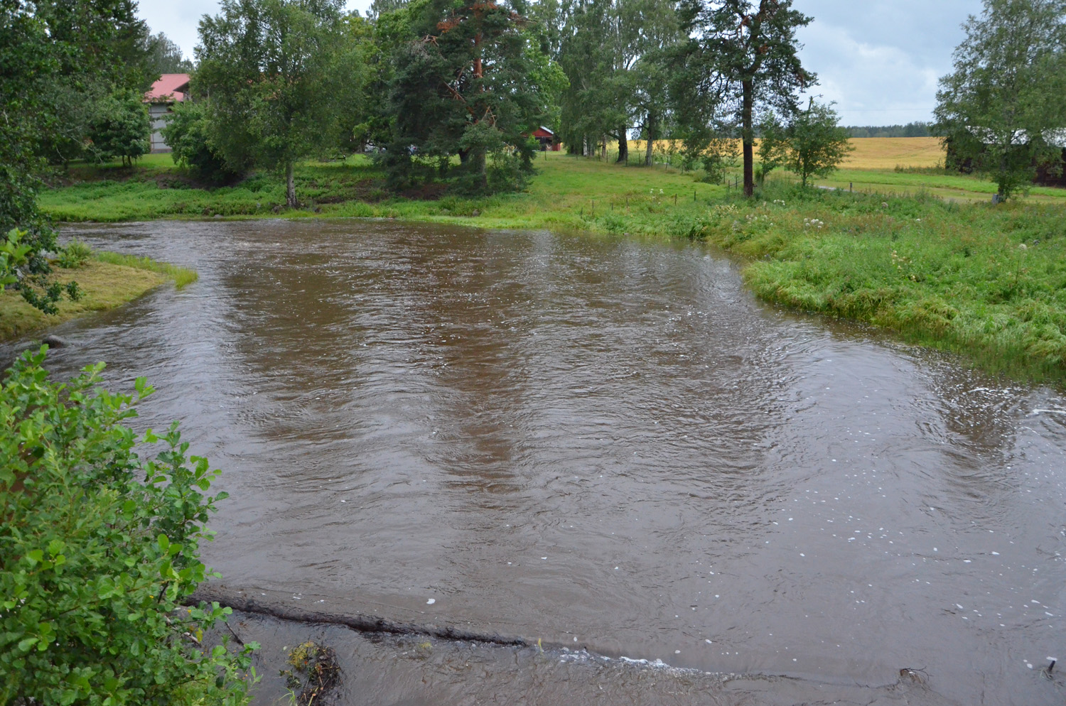 Röste.nu – Röstebilder – Inför ankracet i Galvån 2017