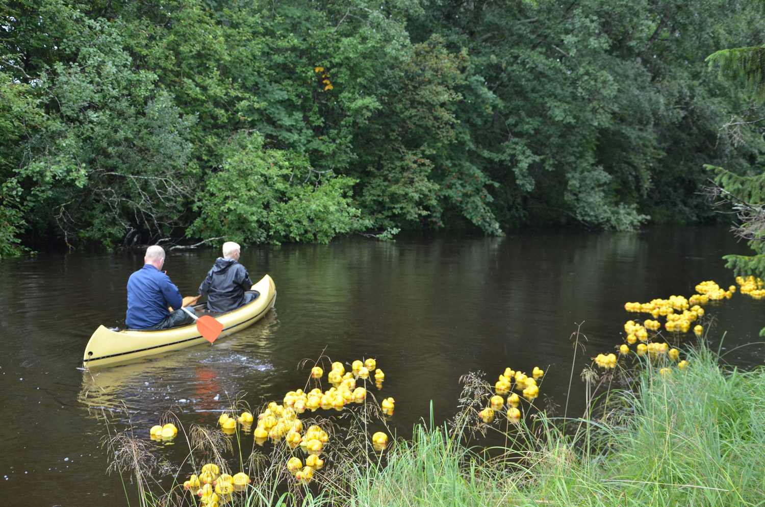 Röste.nu – Röstebilder – Historiskt blött ankrace i Galvån 2017