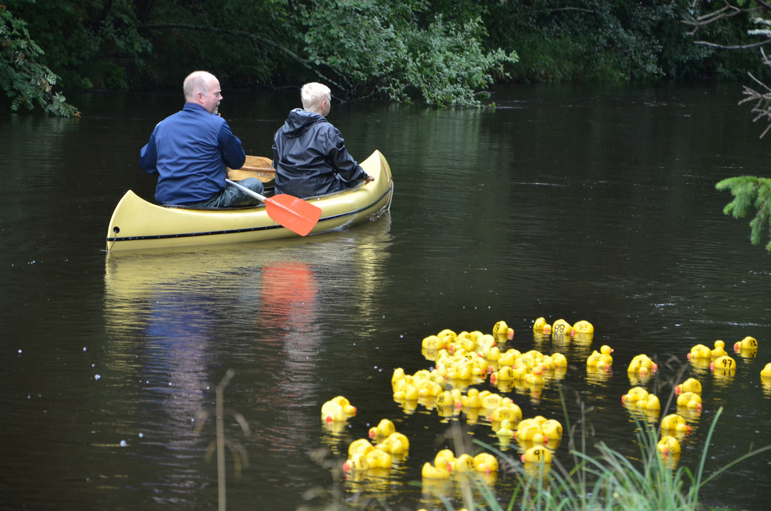 Röste.nu – Röstebilder – Historiskt blött ankrace i Galvån 2017
