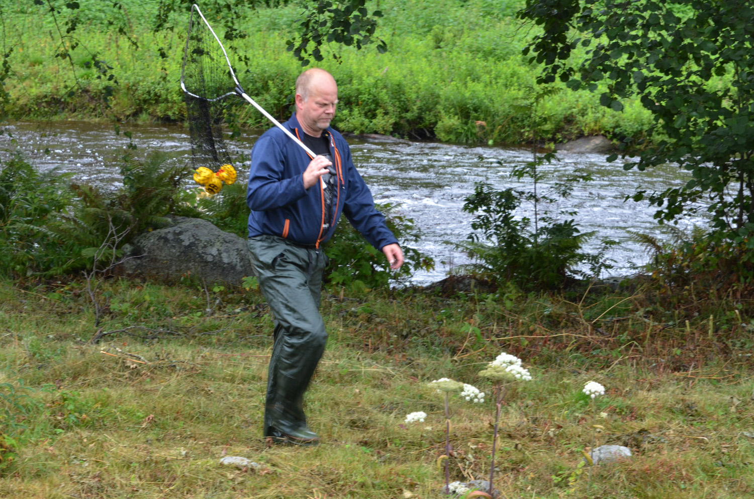 Röste.nu – Röstebilder – Historiskt blött ankrace i Galvån 2017
