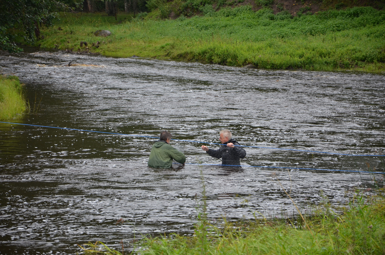 Röste.nu – Röstebilder – Historiskt blött ankrace i  Galvån 2017