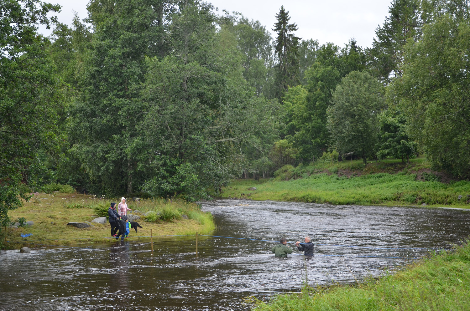 Röste.nu – Röstebilder – Historiskt blött ankrace i  Galvån 2017