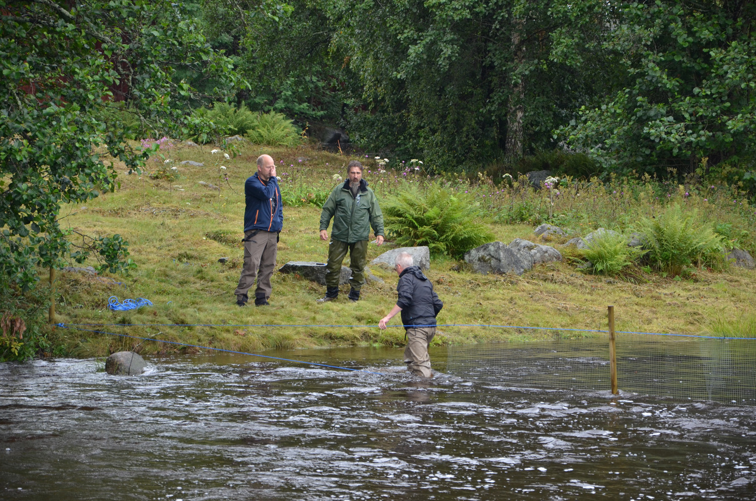Röste.nu – Röstebilder – Historiskt blött ankrace i  Galvån 2017