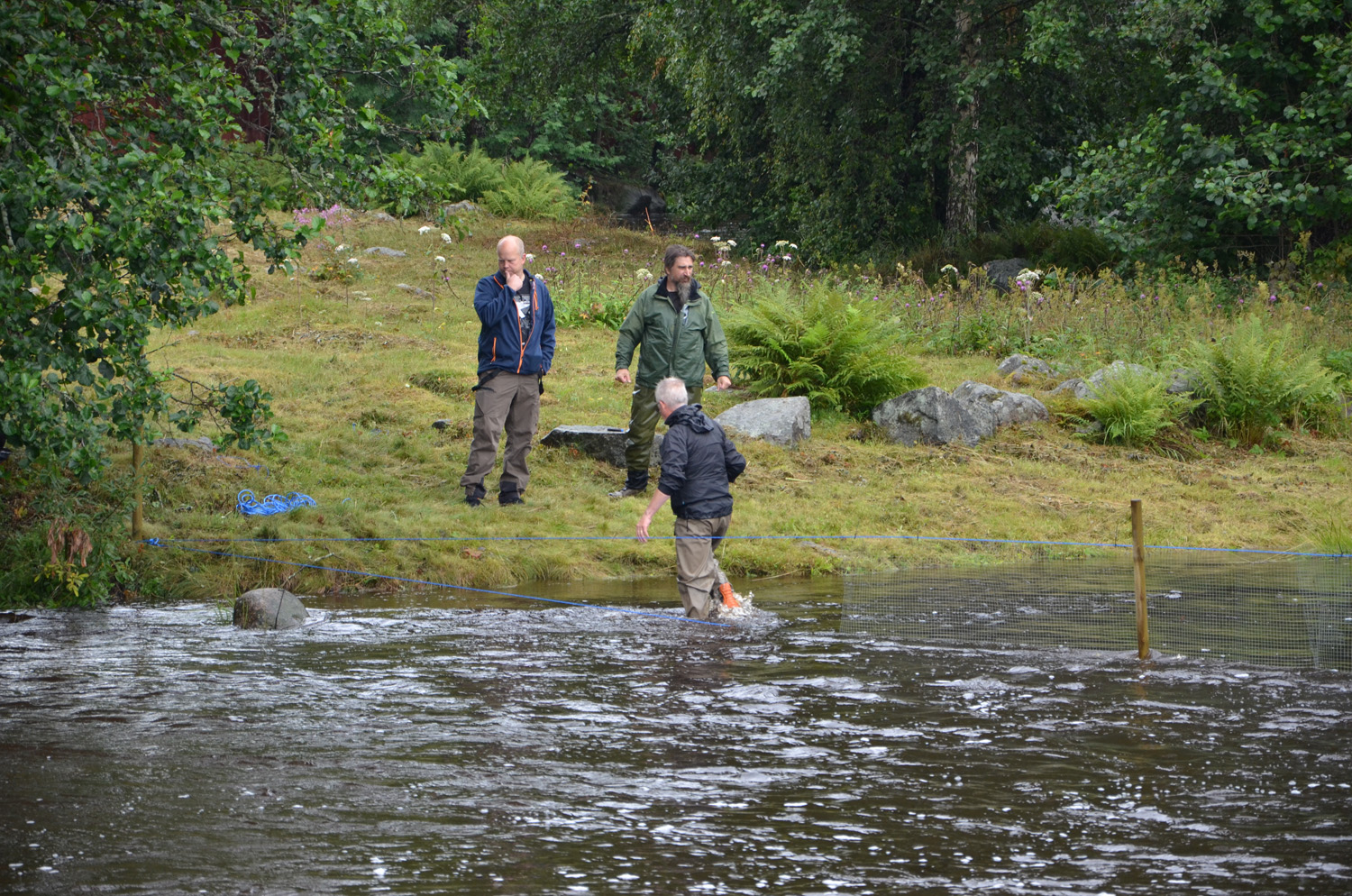 Röste.nu – Röstebilder – Historiskt blött ankrace i  Galvån 2017