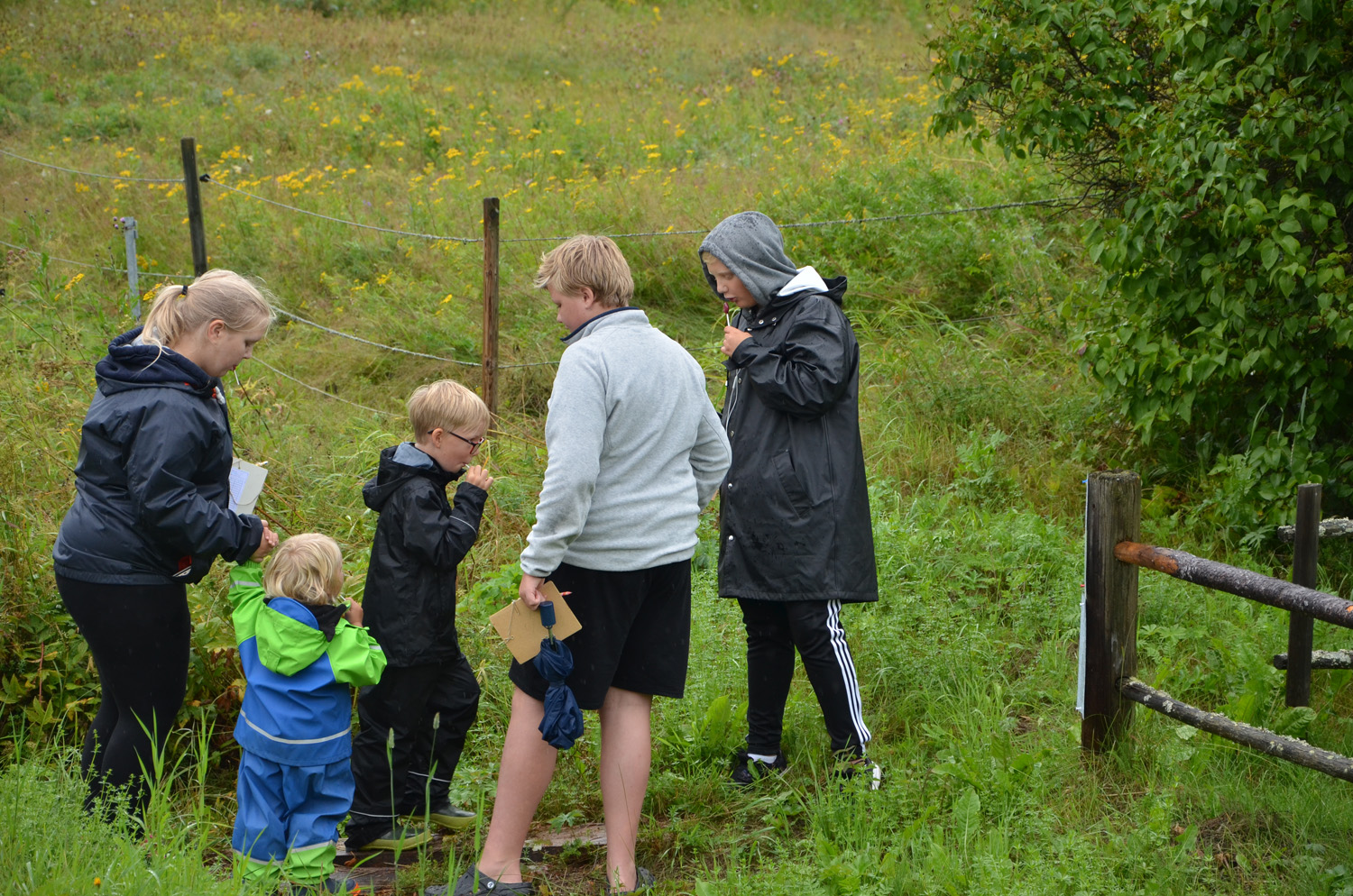 Röste.nu – Röstebilder – Historiskt blött ankrace i  Galvån 2017