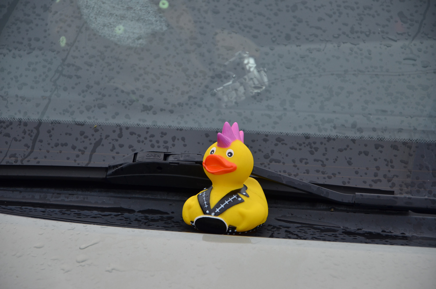 Röste.nu – Röstebilder – Historiskt blött ankrace i  Galvån 2017