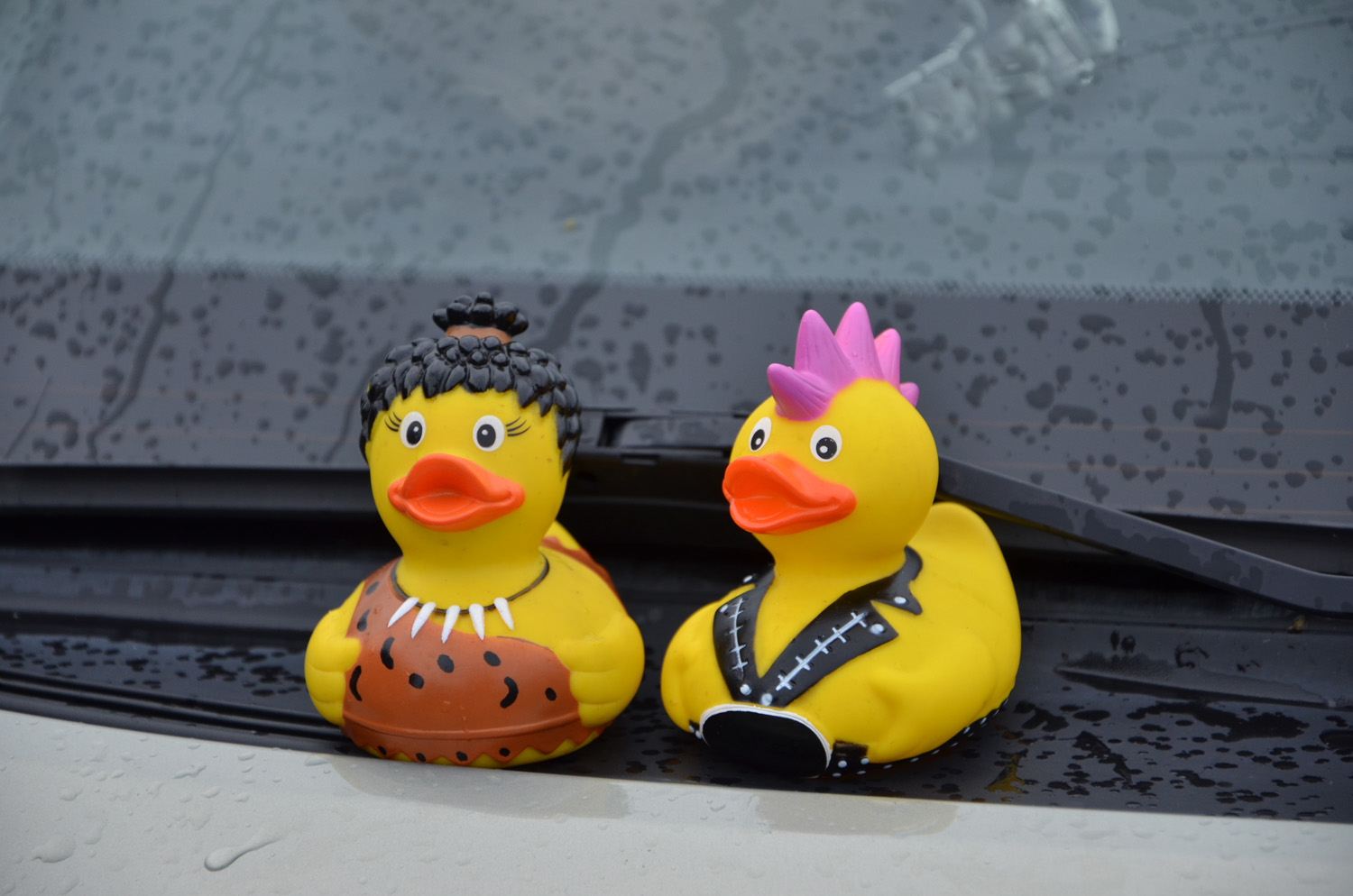 Röste.nu – Röstebilder – Historiskt blött ankrace i Galvån 2017