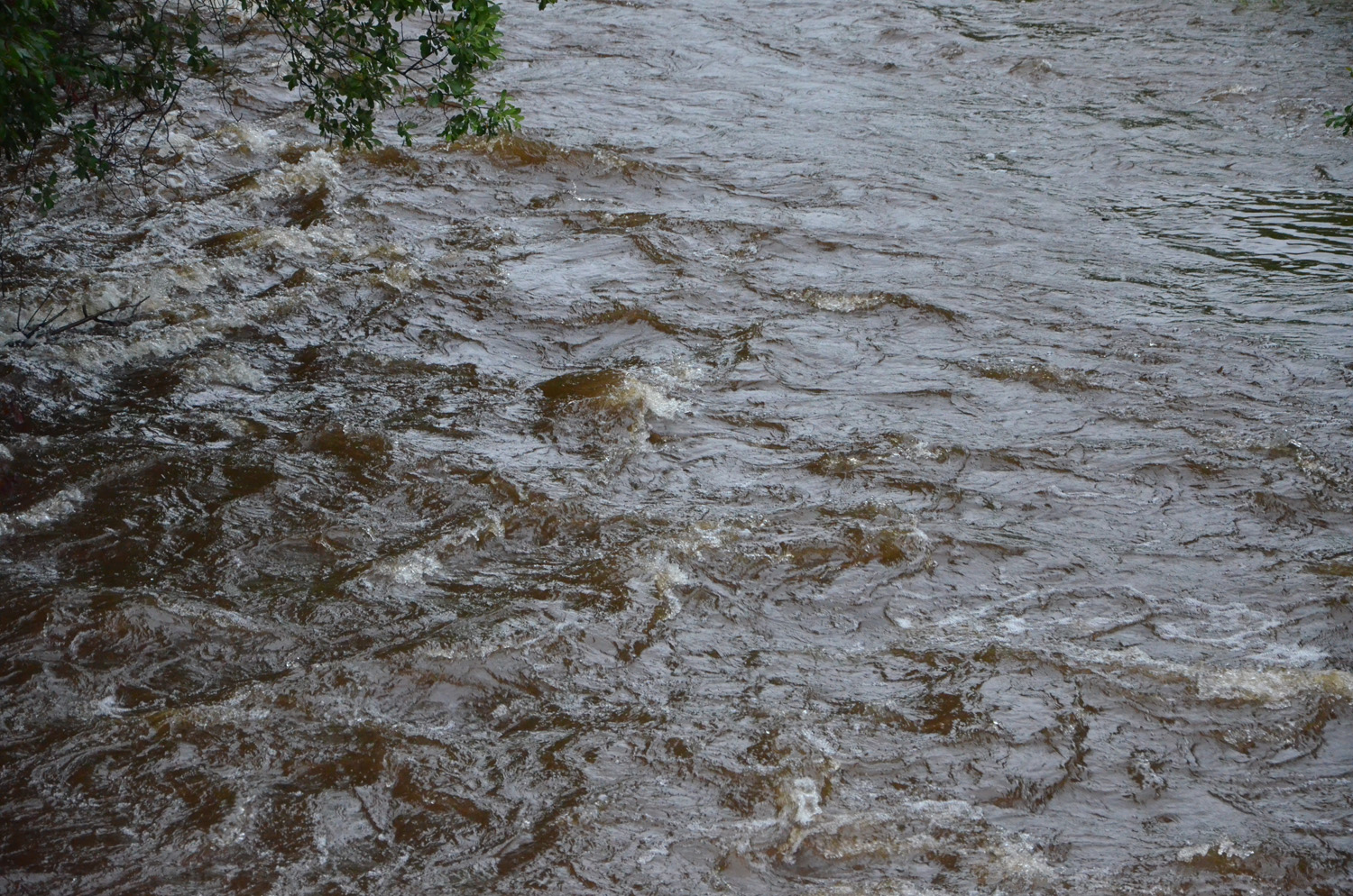 Röste.nu – Röstebilder – Inför ankracet i Galvån 2017