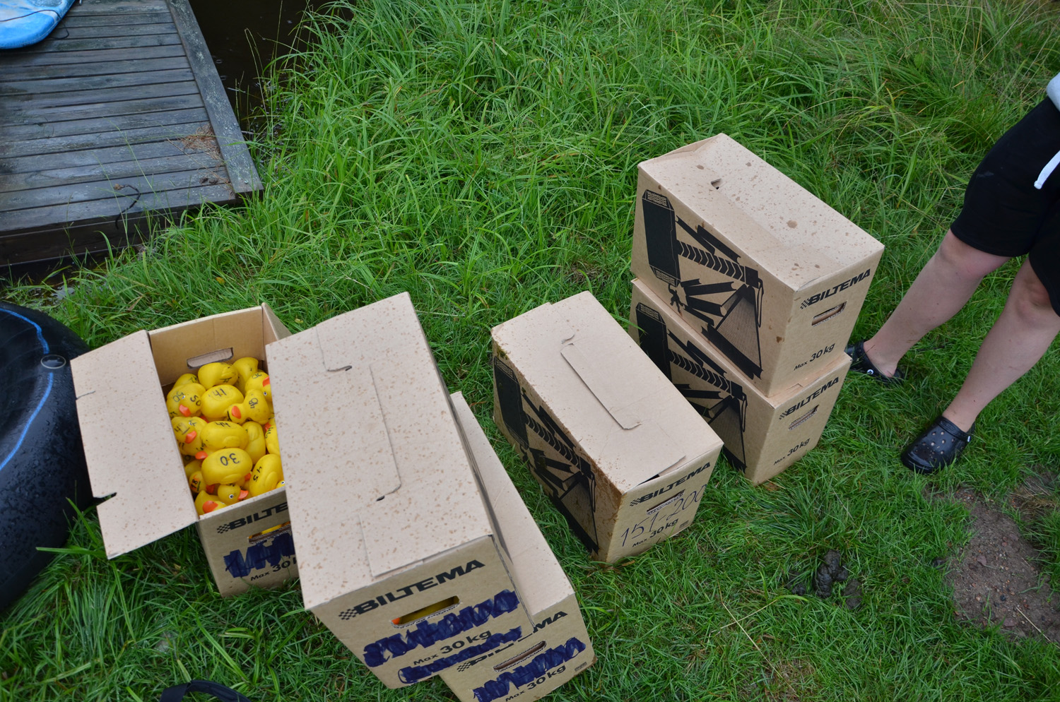 Röste.nu – Röstebilder – Historiskt blött ankrace i Galvån 2017