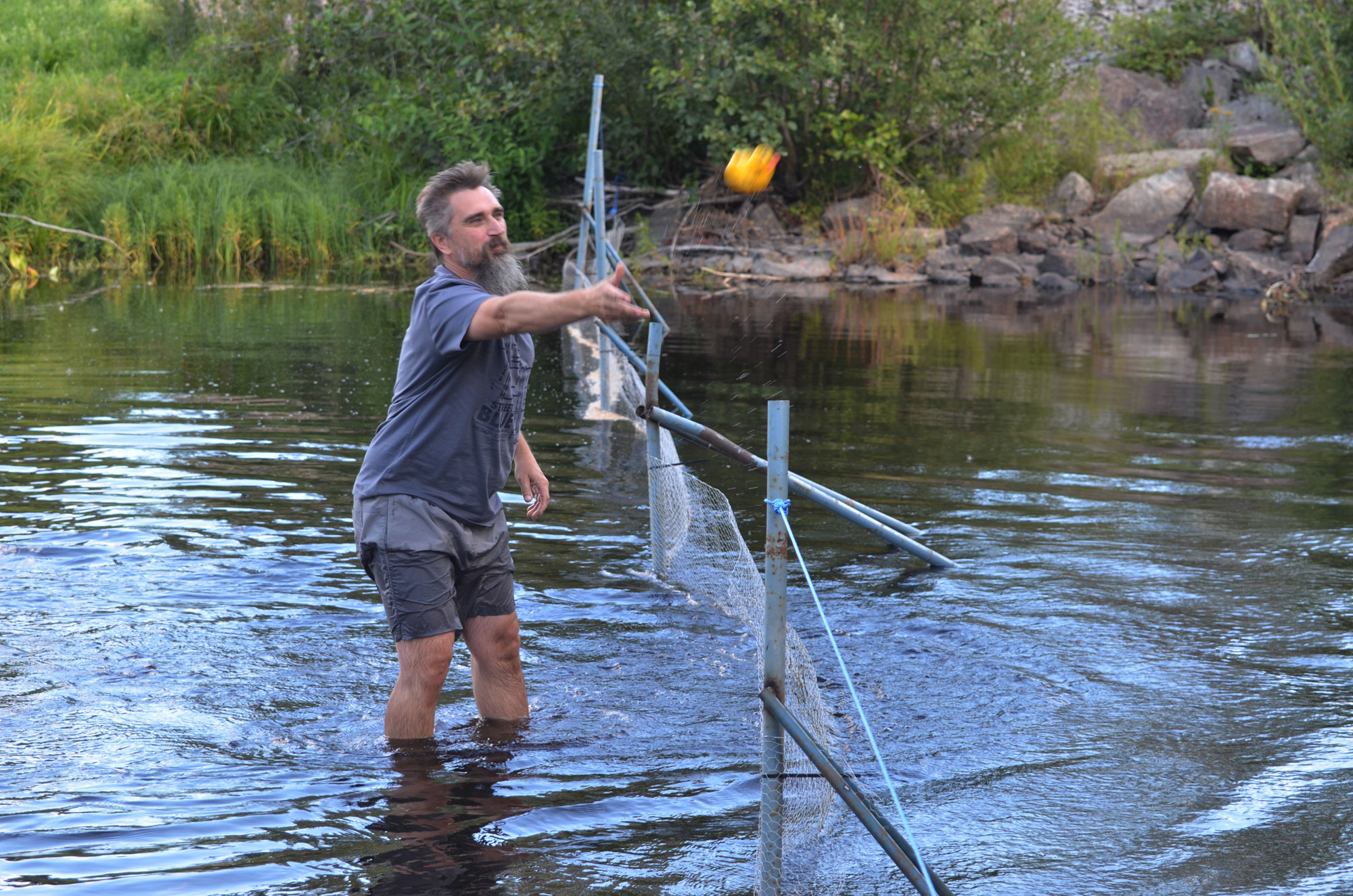 Röste.nu – Röstebilder – Ankrace i Galvån 2018