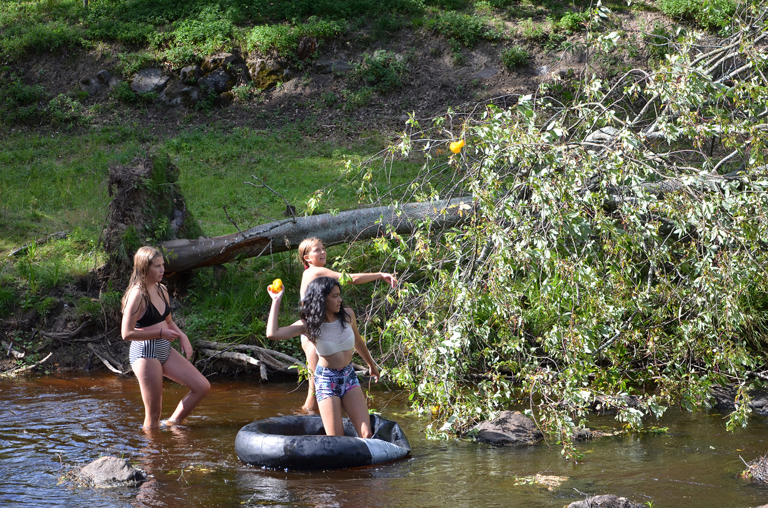 Röste.nu – Röstebilder – Ankrace i Galvån 2018