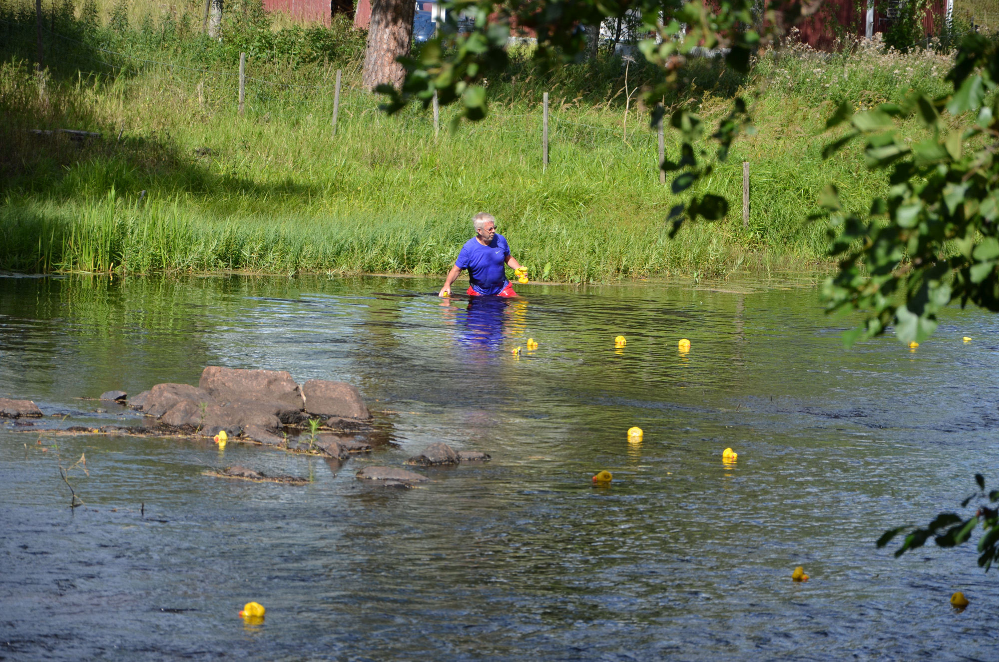 Röste.nu – Röstebilder – Ankrace i Galvån 2018