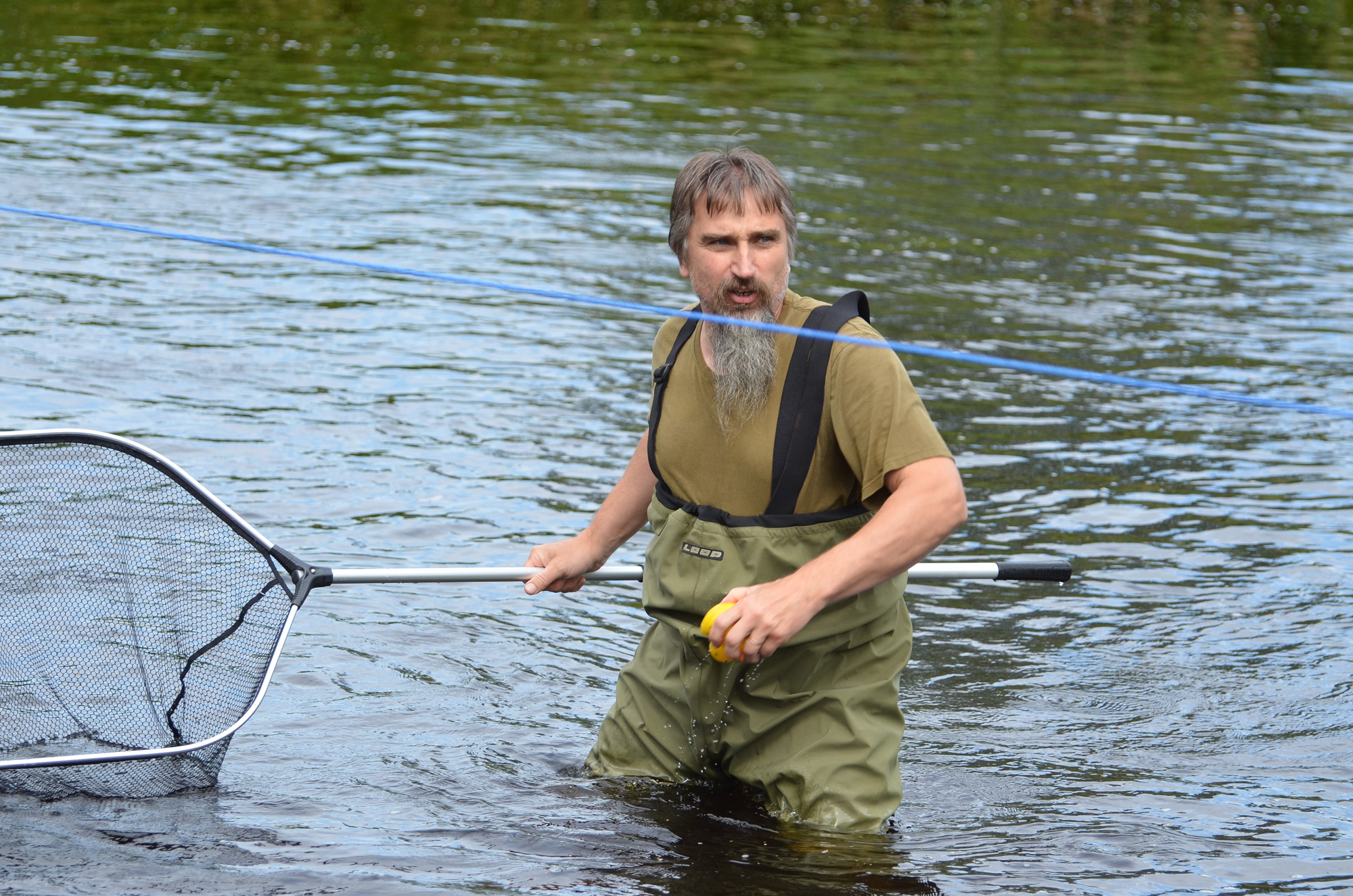 Röste.nu – Röstebilder – Ankracet i Galvån 2019