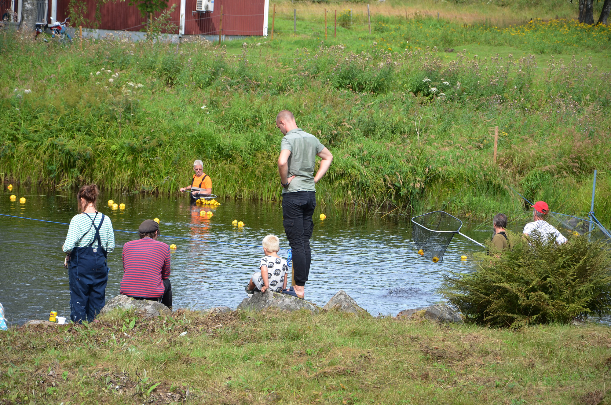 Röste.nu – Röstebilder – Ankracet i Galvån 2019