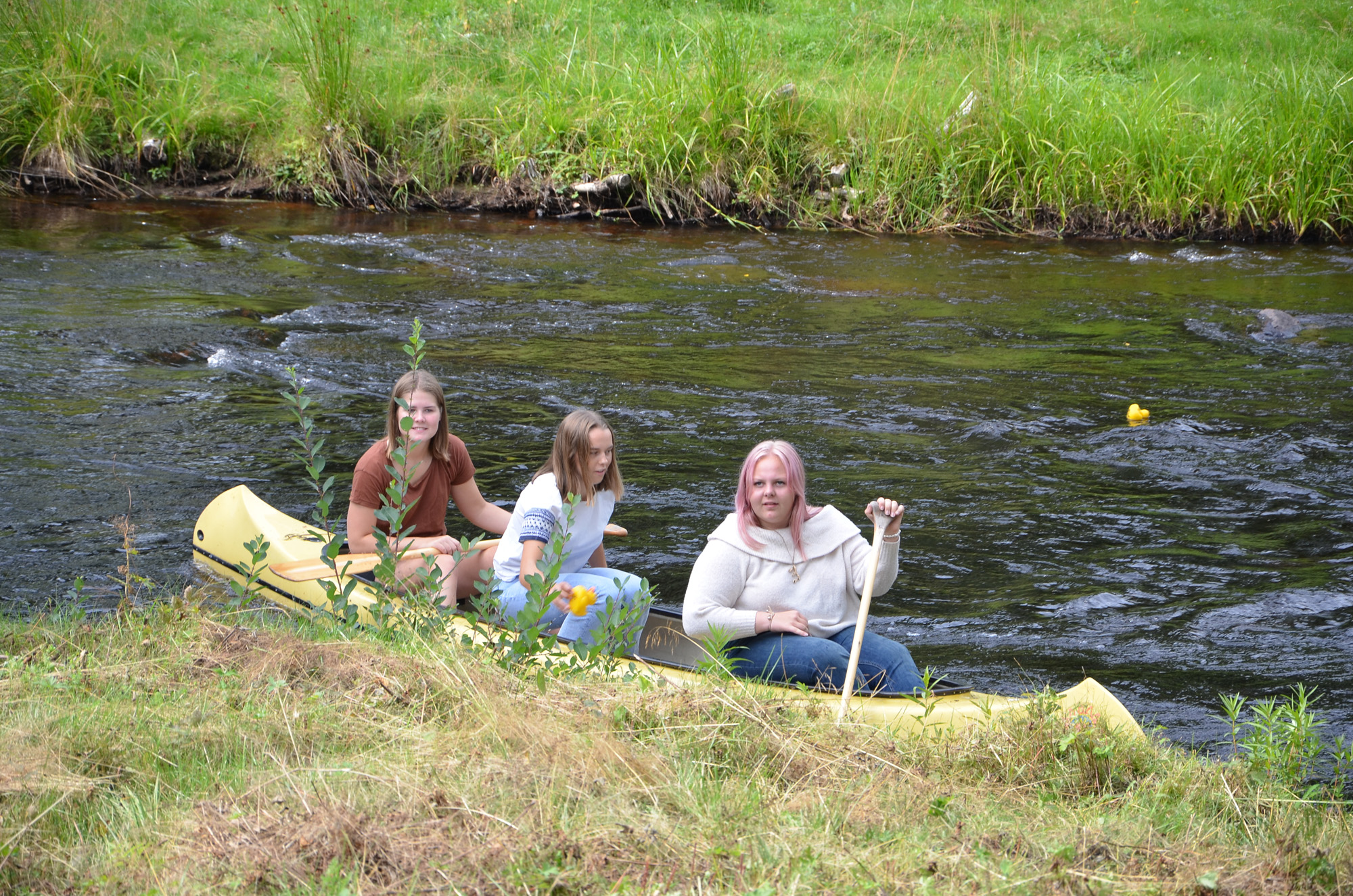 Röste.nu – Röstebilder – Ankracet i Galvån 2019