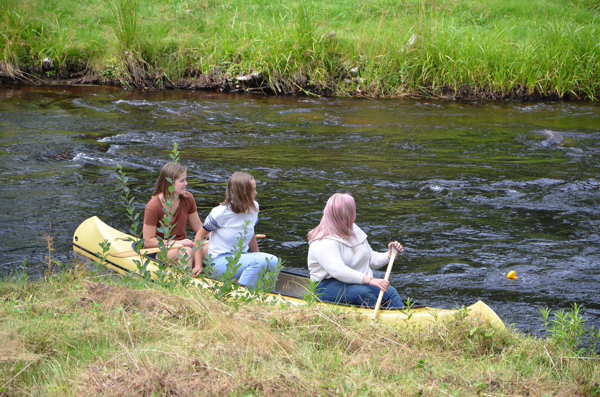 Röste.nu – Röstebilder – Ankracet i Galvån 2019