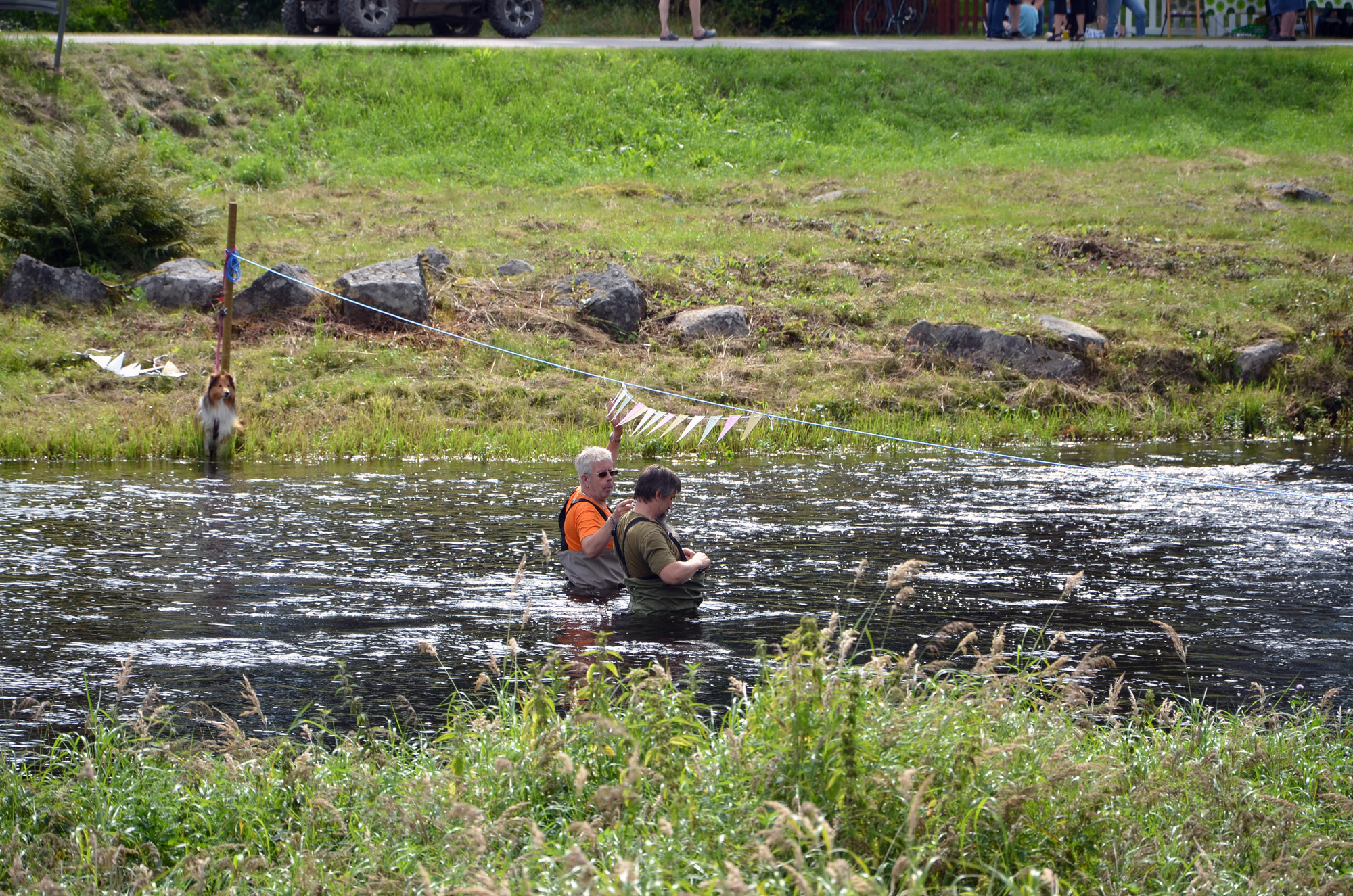Röste.nu – Röstebilder – Ankracet i Galvån 2019