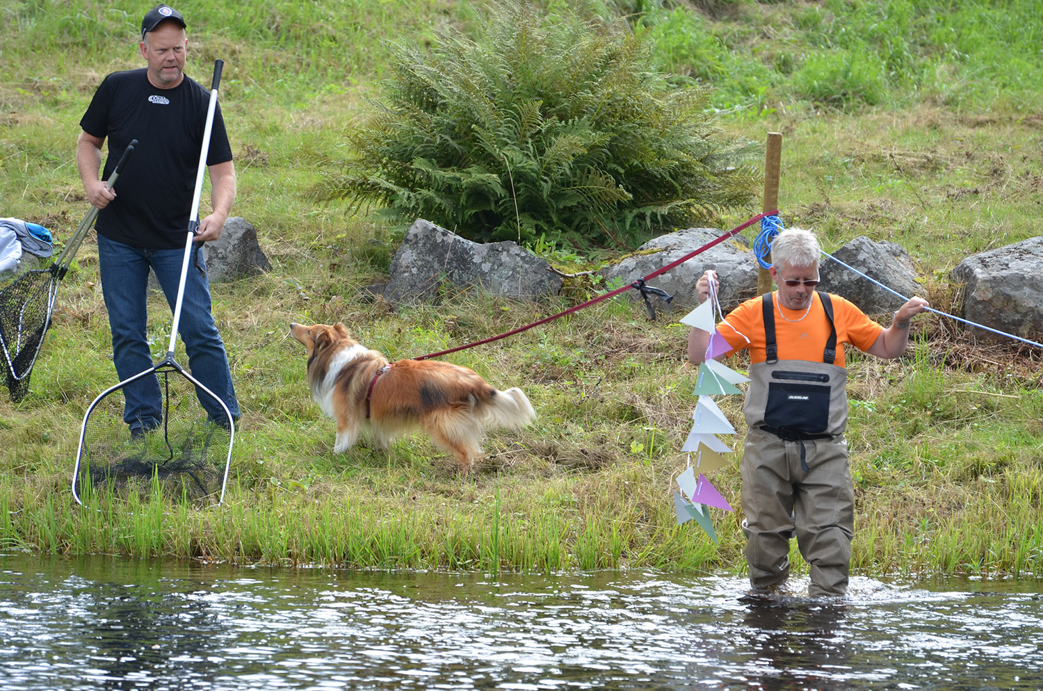 Röste.nu – Röstebilder – Ankracet i Galvån 2019