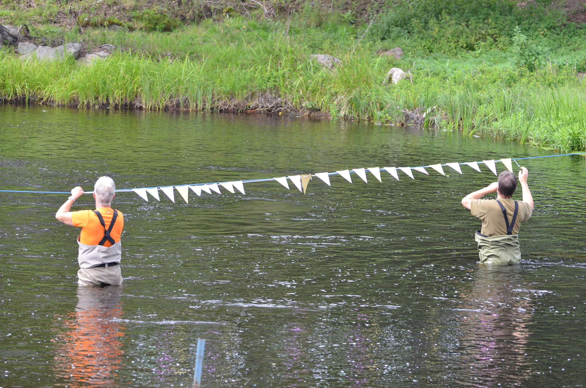 Röste.nu – Röstebilder – Ankracet i Galvån 2019