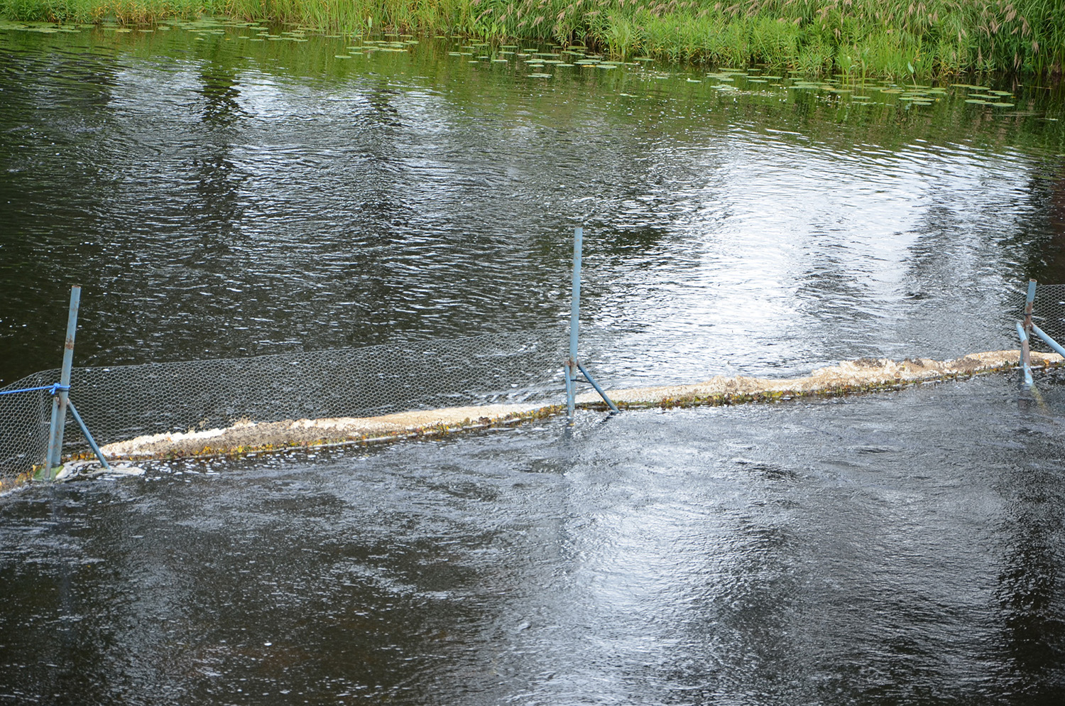 Röste.nu – Röstebilder – Inför ankracet i Galvån 2019