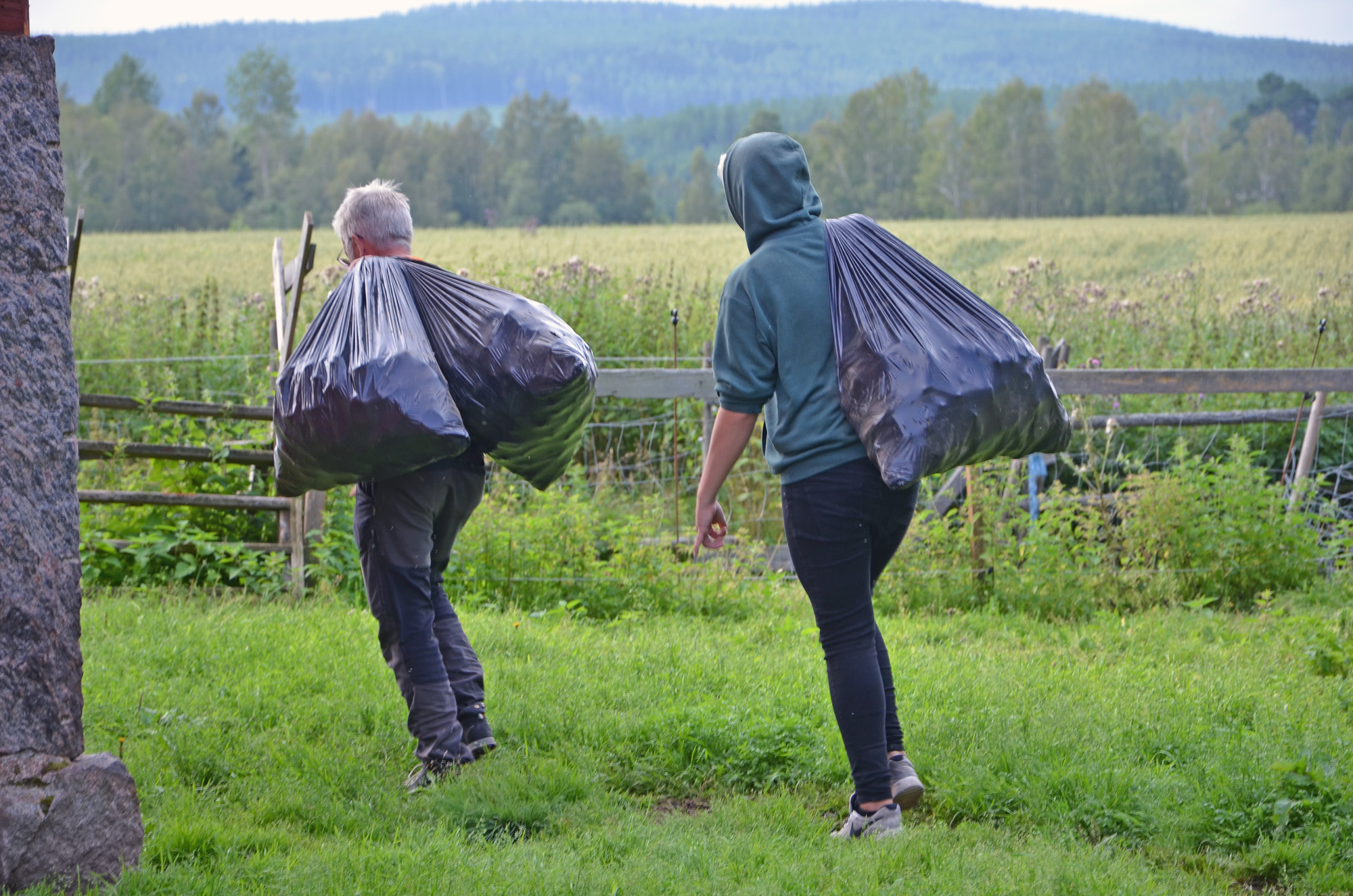 Röste.nu – Röstebilder – Ankracet i Galvån 2019