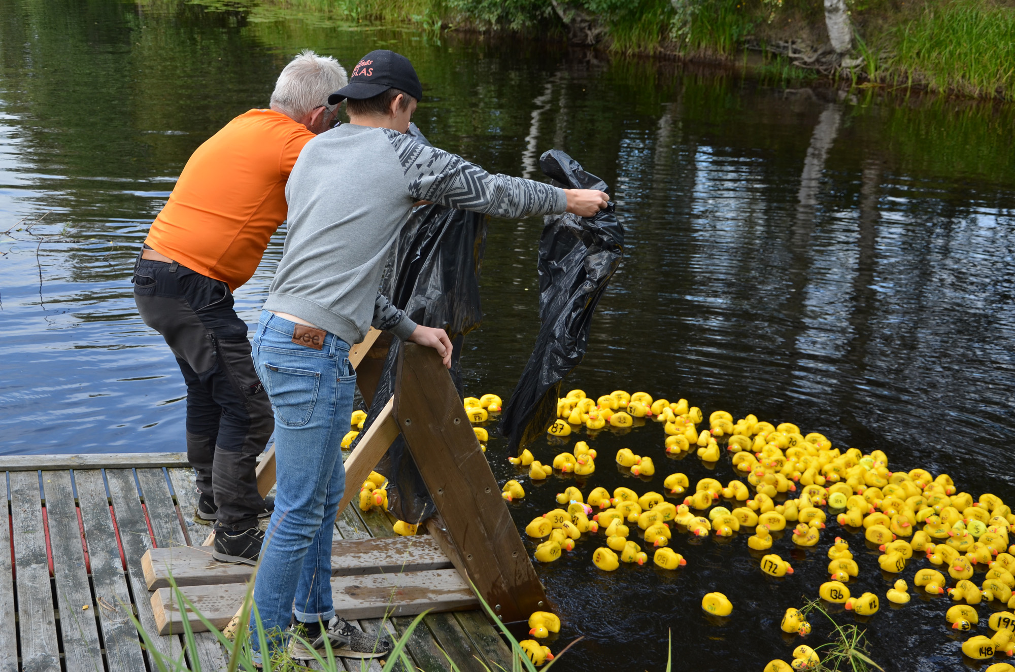 Röste.nu – Röstebilder – Ankracet i Galvån 2019
