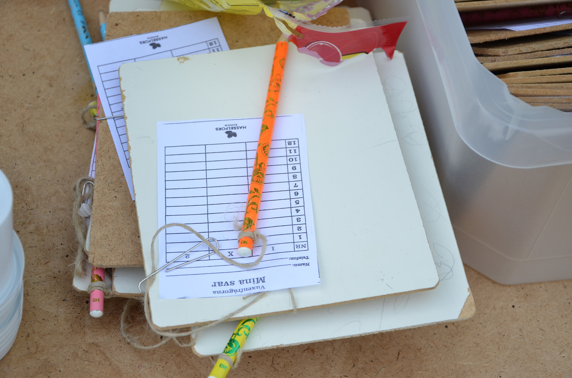 Röste.nu – Röstebilder – Inför ankracet i Galvån 2019