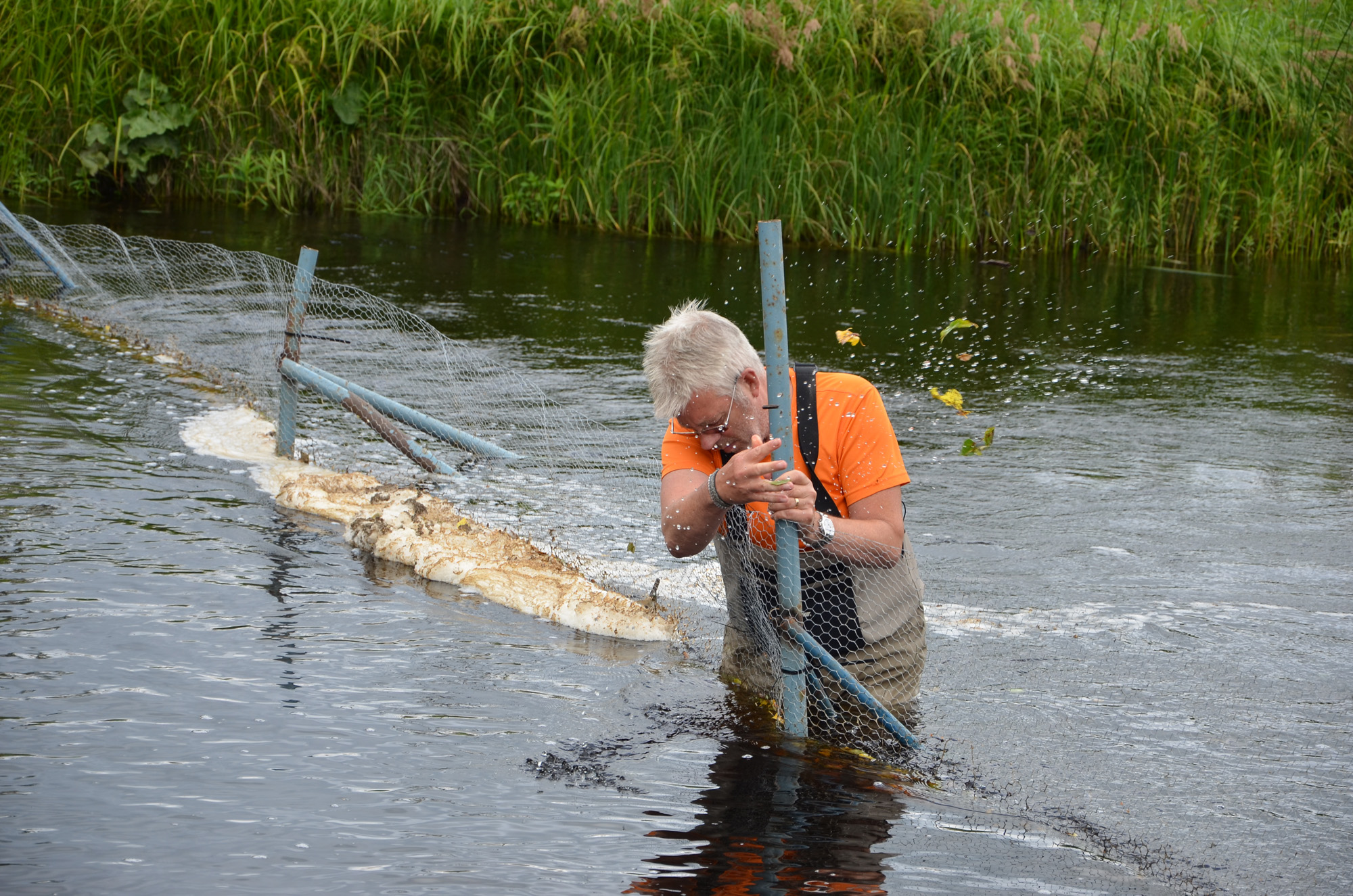 Röste.nu – Röstebilder – Inför ankracet i Galvån 2019